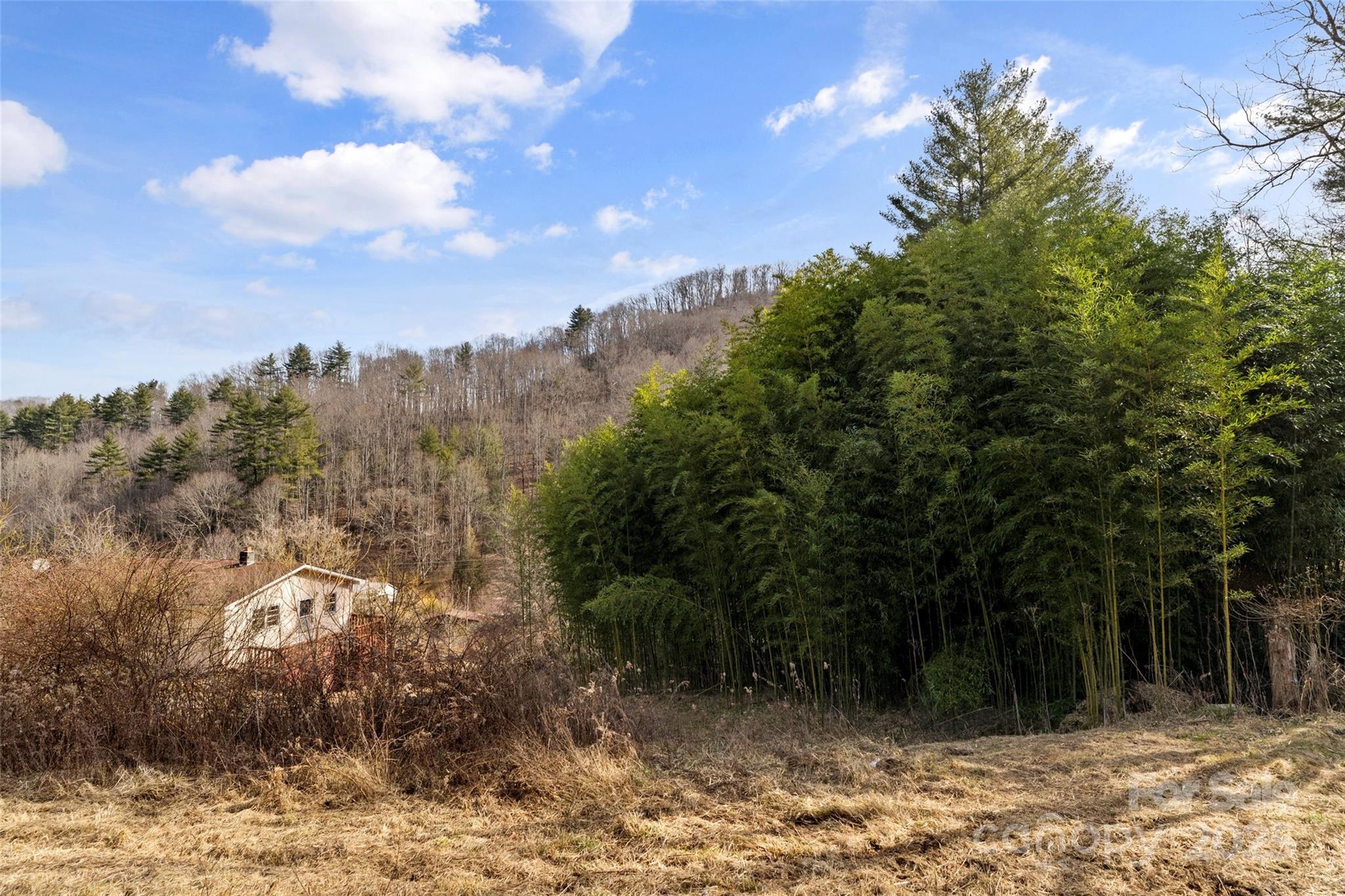 10999 Rush Fork Road Property Photo 27