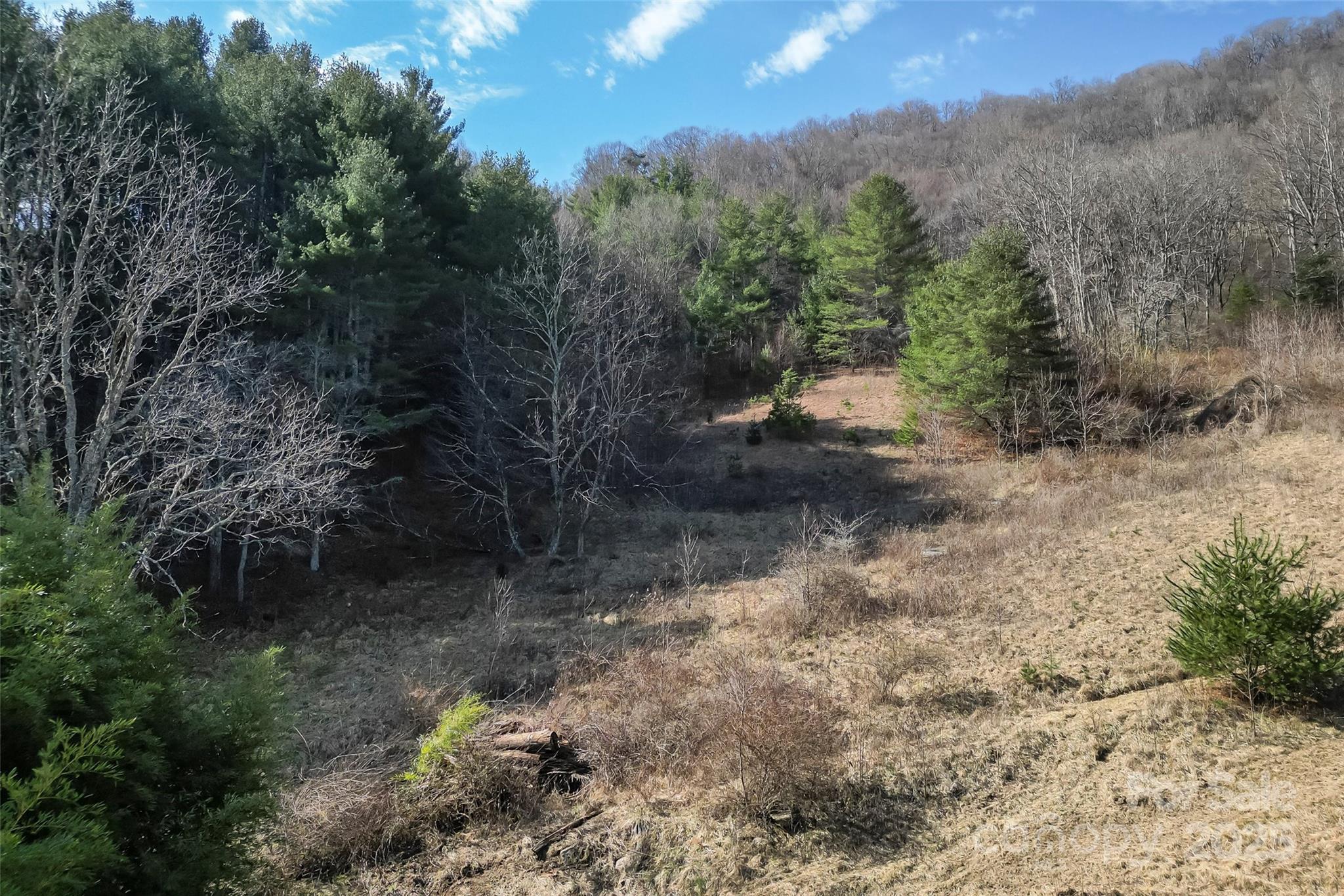 10999 Rush Fork Road Property Photo 34