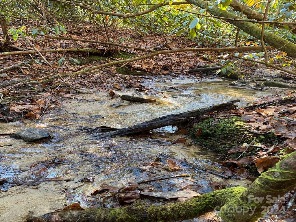 L41 Abby Falls Road L41 Property Photo 1