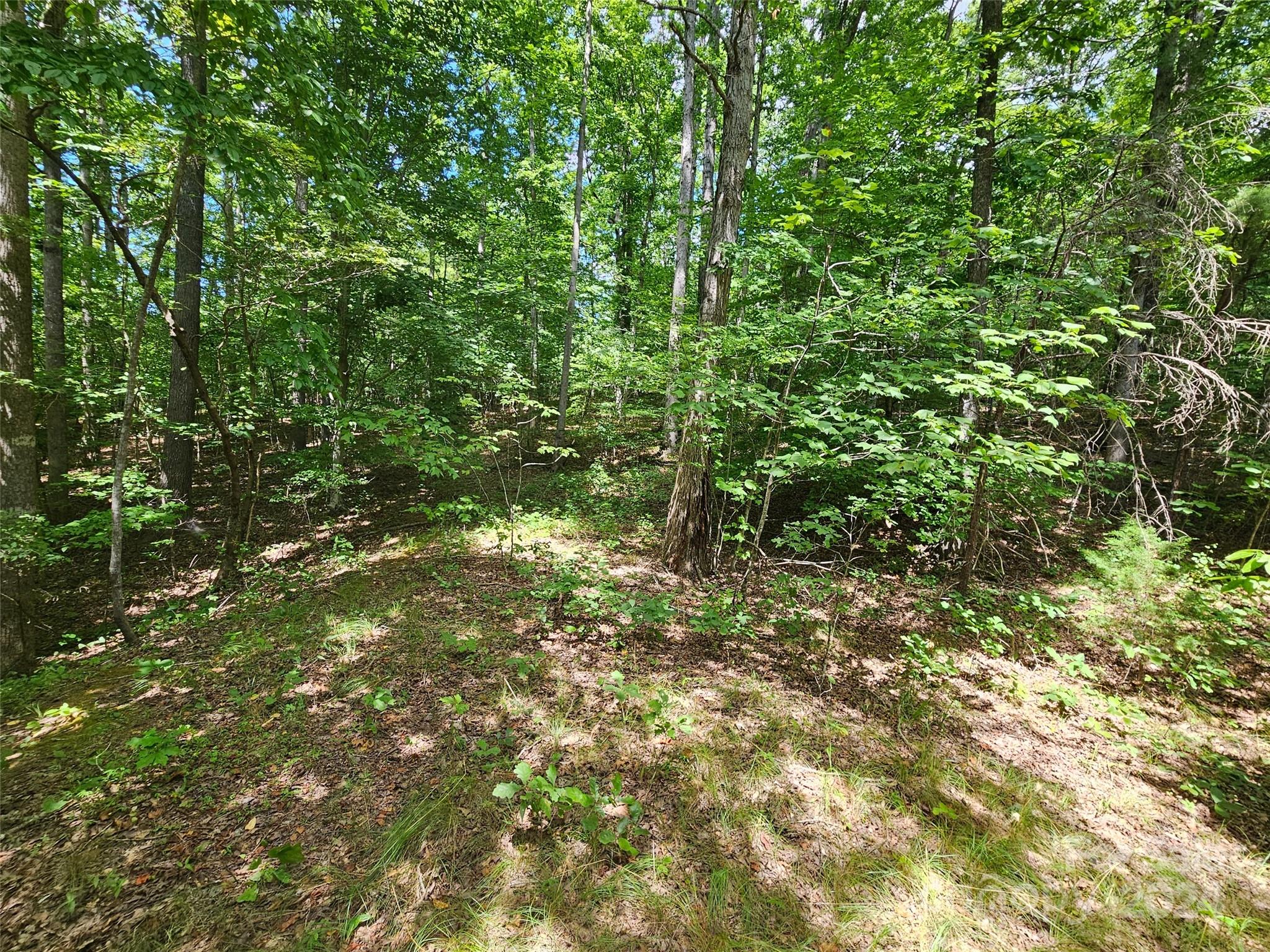 0 Broyhill Road Property Photo 2