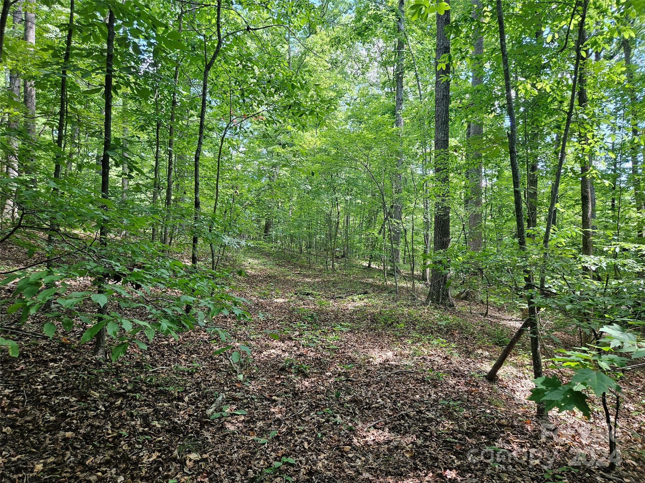 0 Broyhill Road Property Photo 3