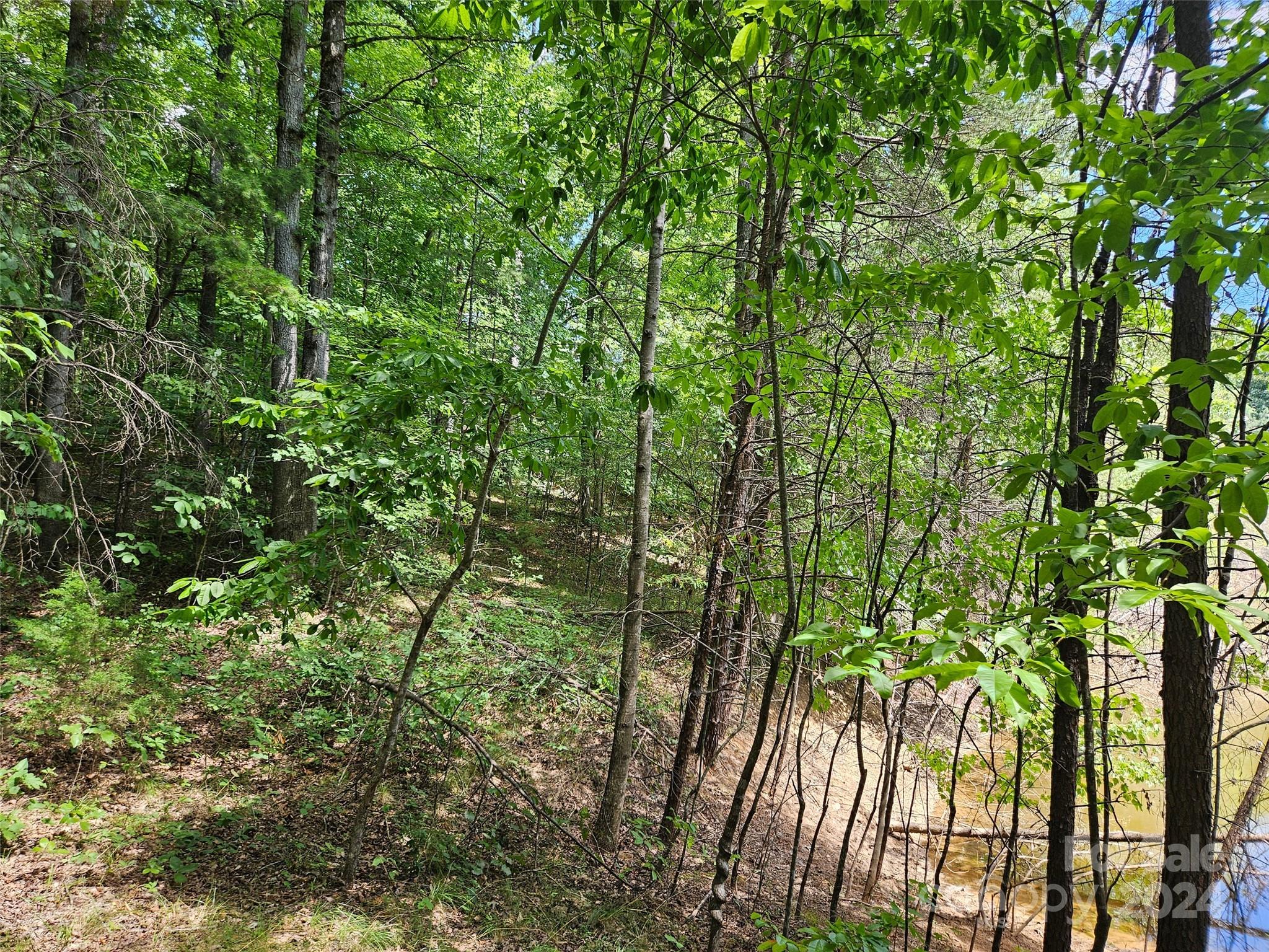 0 Broyhill Road Property Photo 4
