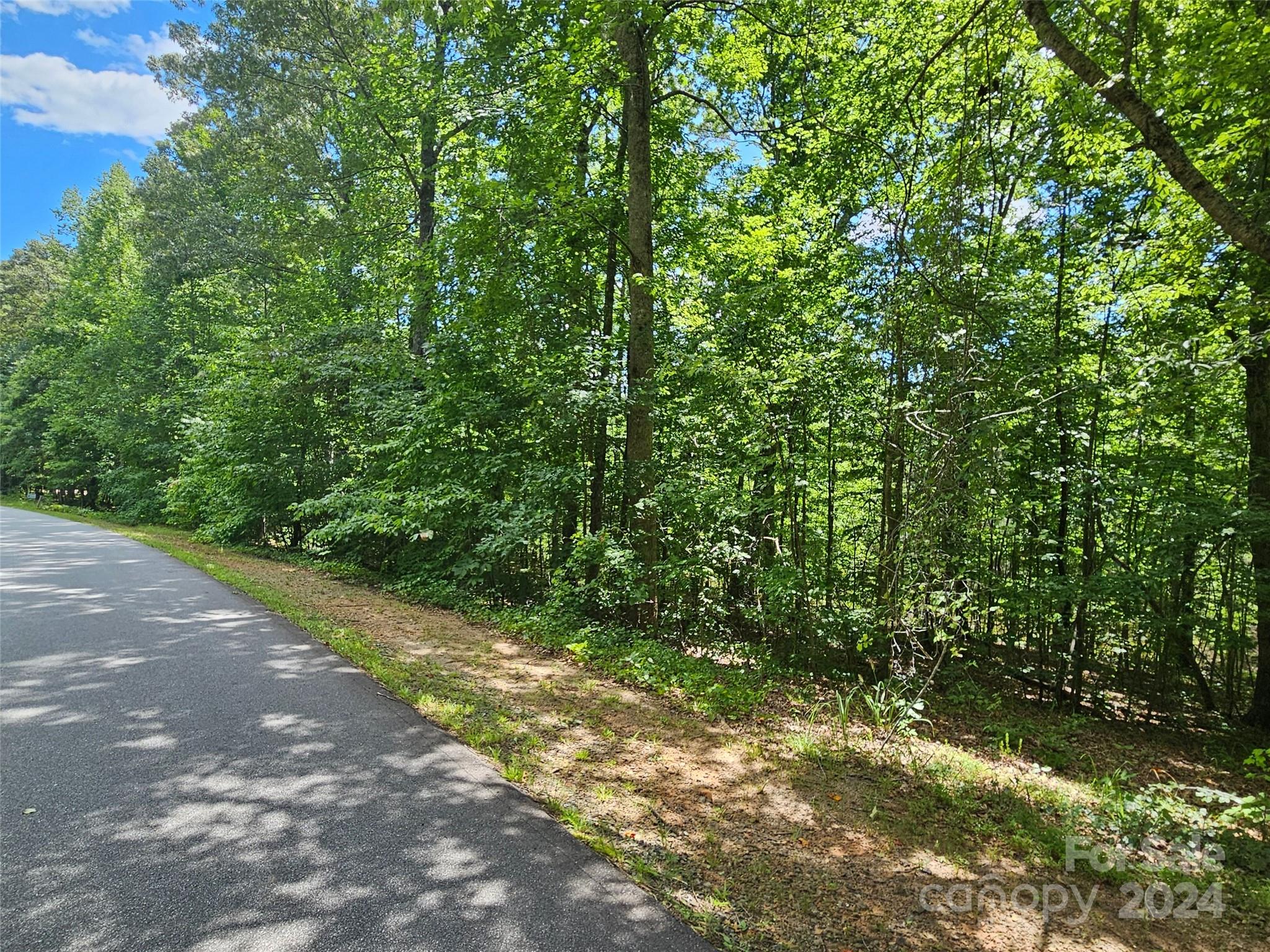 0 Broyhill Road Property Photo 6