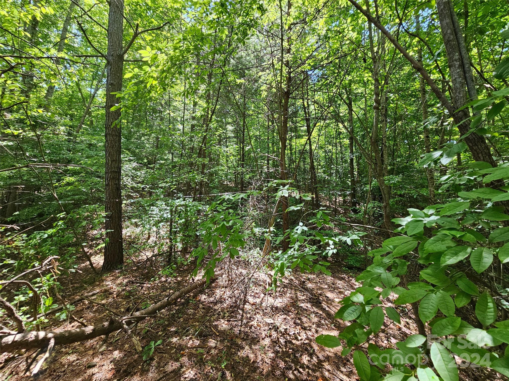 0 Broyhill Road Property Photo 7