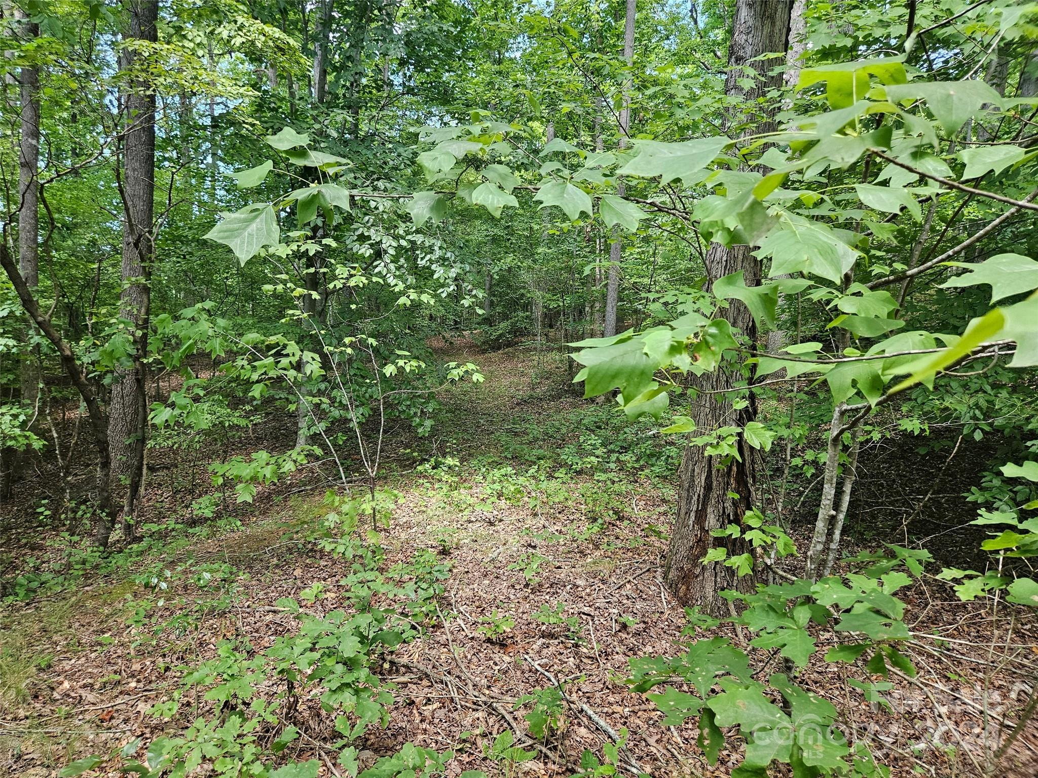 0 Broyhill Road Property Photo 10