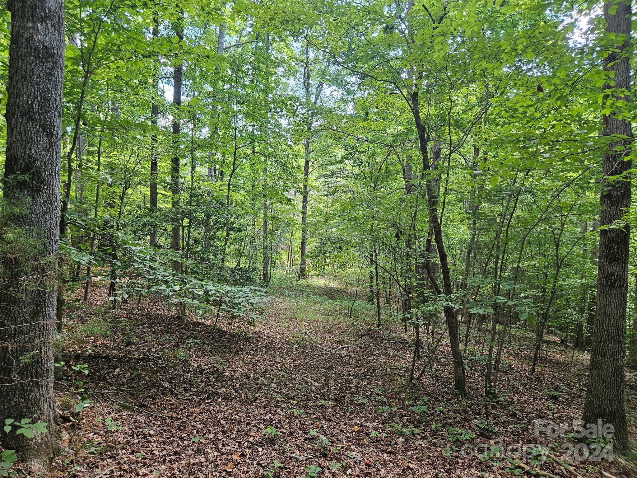 0 Broyhill Road Property Photo 11