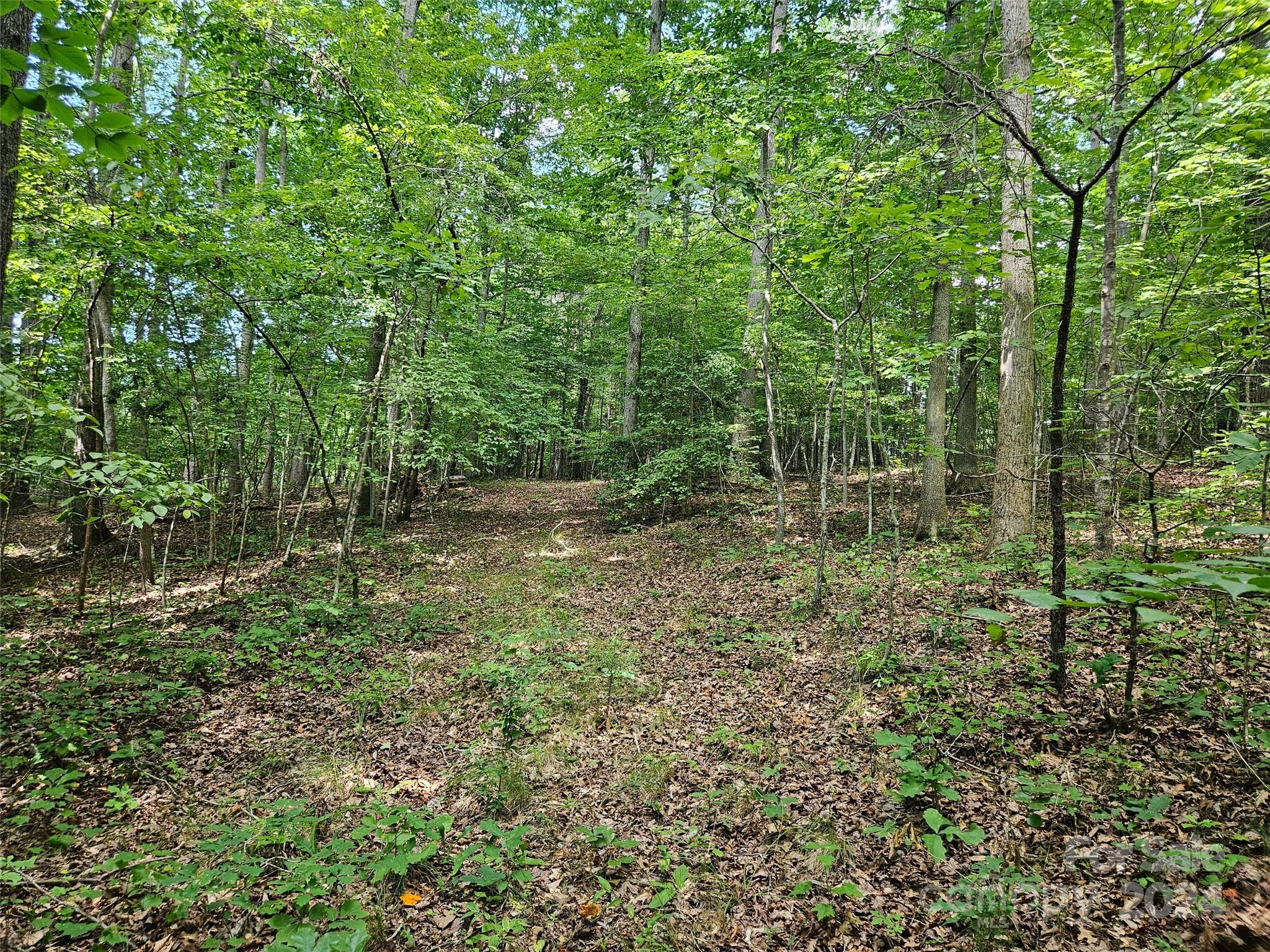 0 Broyhill Road Property Photo 12