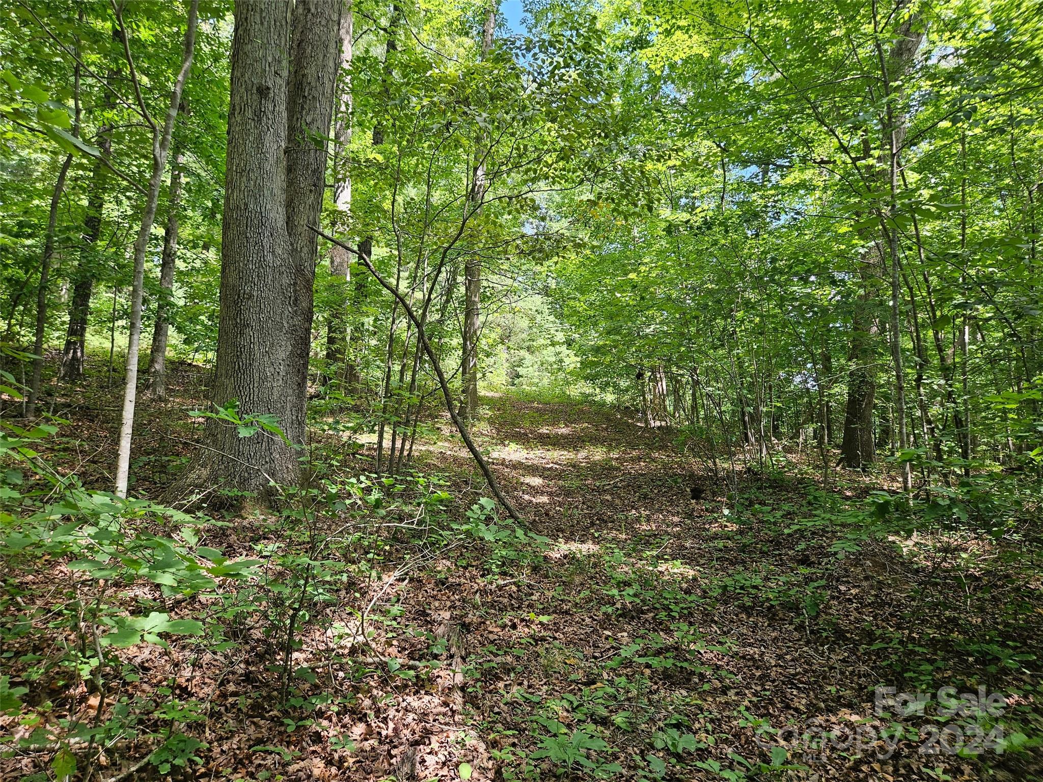 0 Broyhill Road Property Photo 14