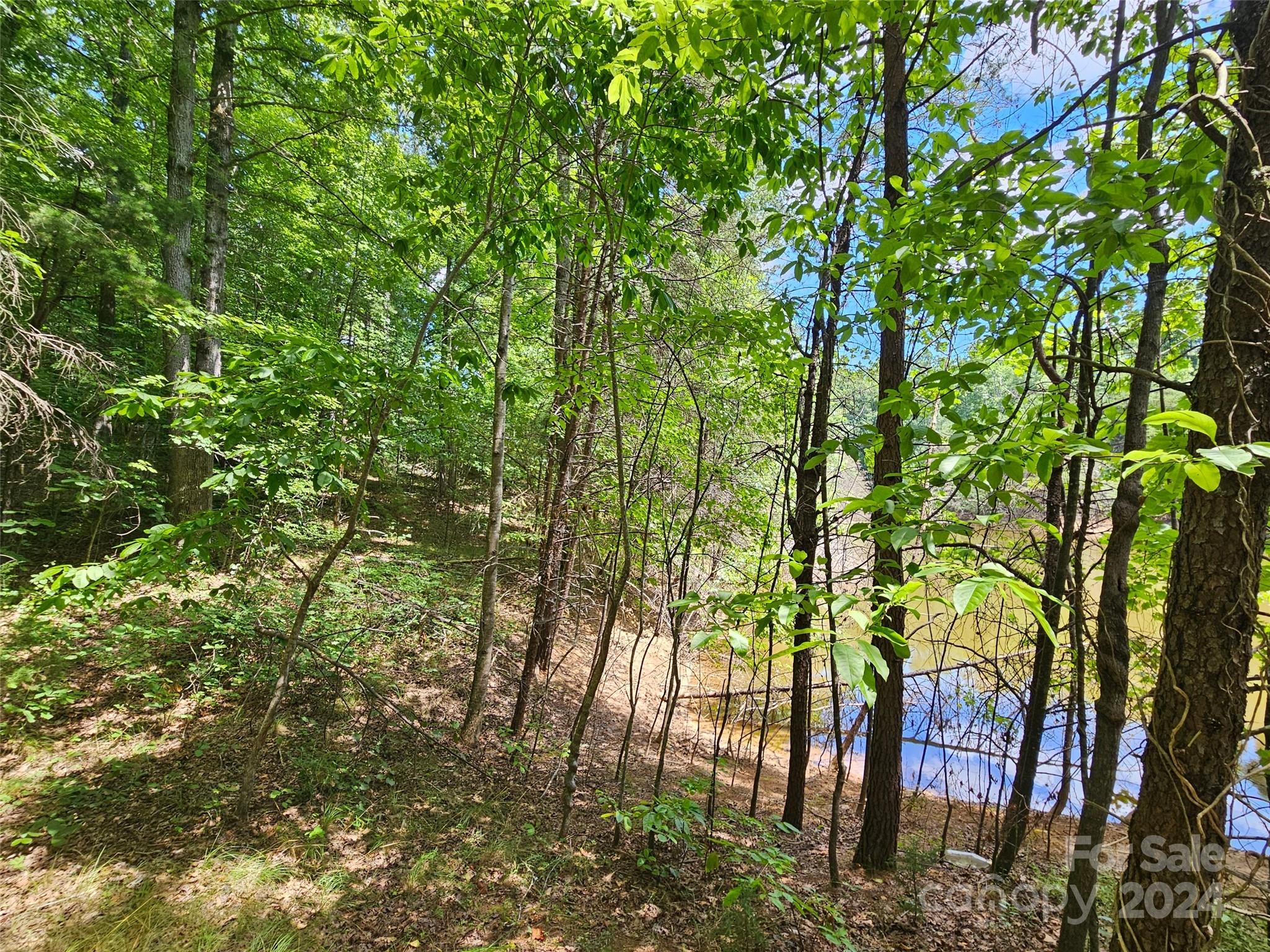 0 Broyhill Road Property Photo 23