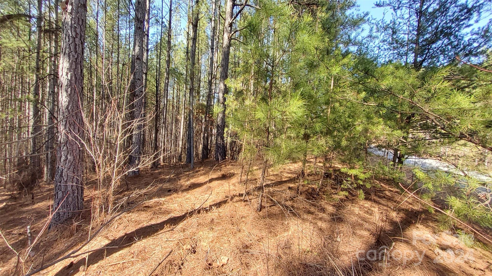 0 Sunset Drive 20 Property Photo 7