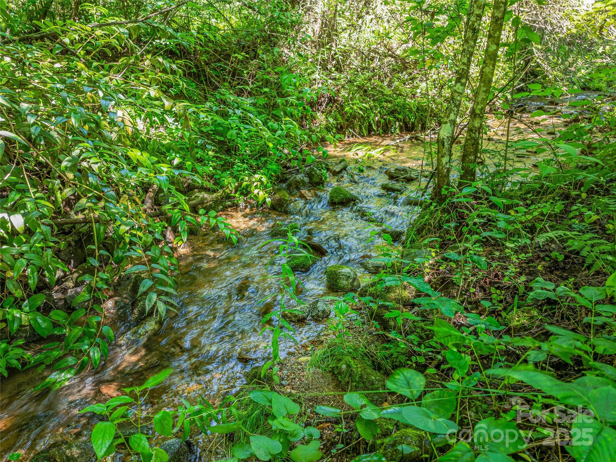 0 Frozen Creek Road Property Photo 2