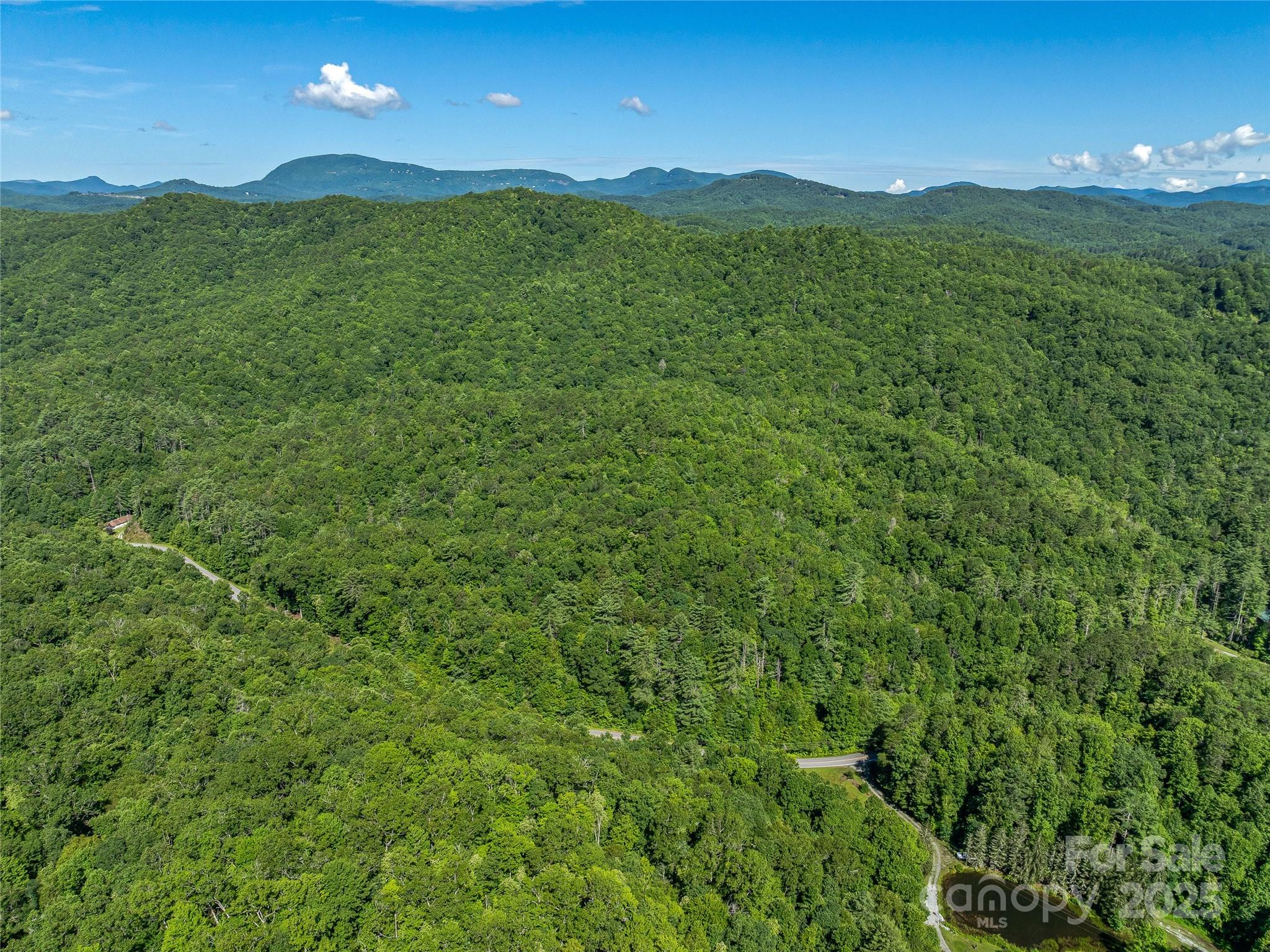 0 Frozen Creek Road Property Photo 12