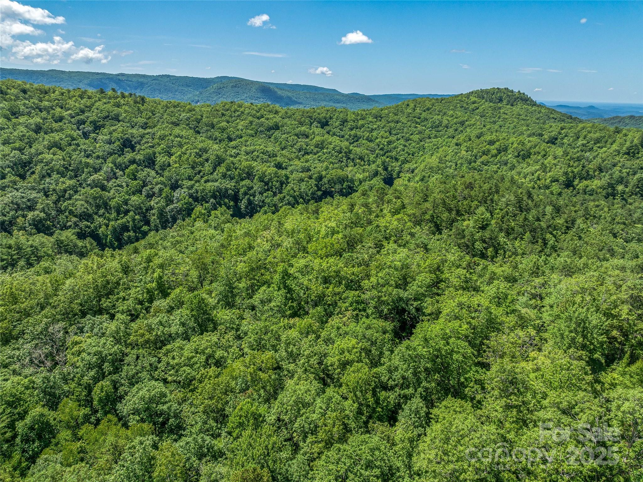0 Frozen Creek Road Property Photo 15