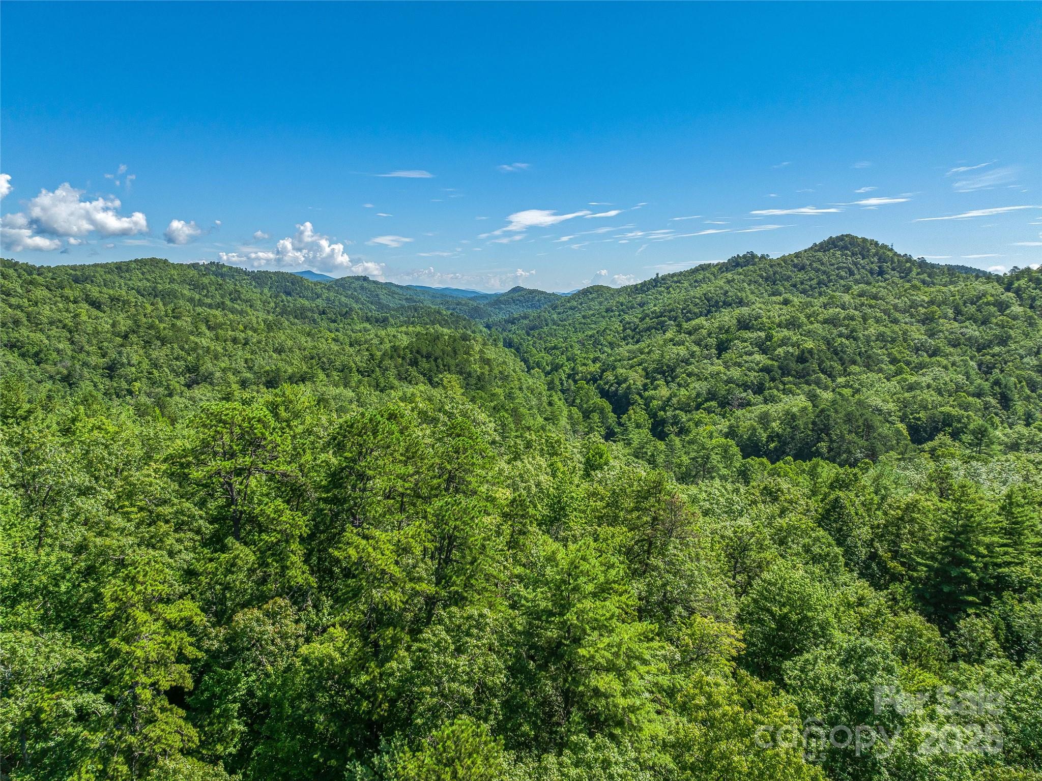 0 Frozen Creek Road Property Photo 16