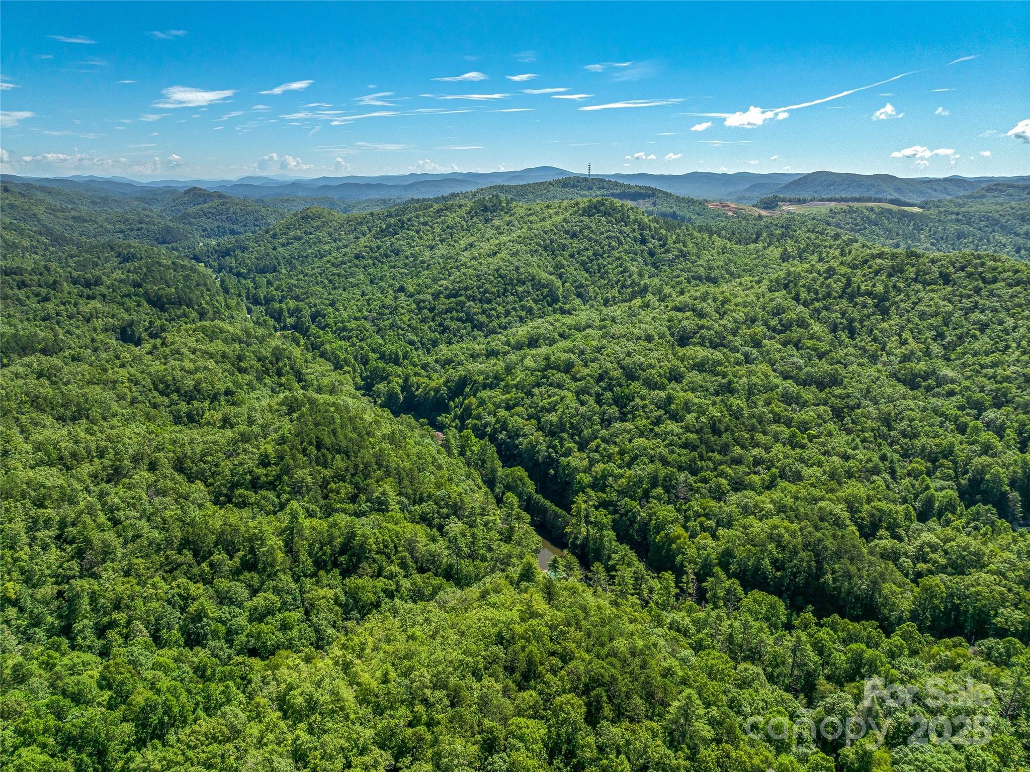 0 Frozen Creek Road Property Photo 19
