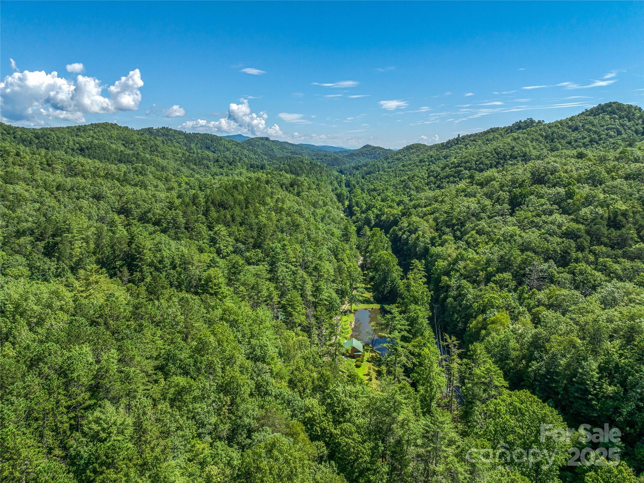 0 Frozen Creek Road Property Photo 20