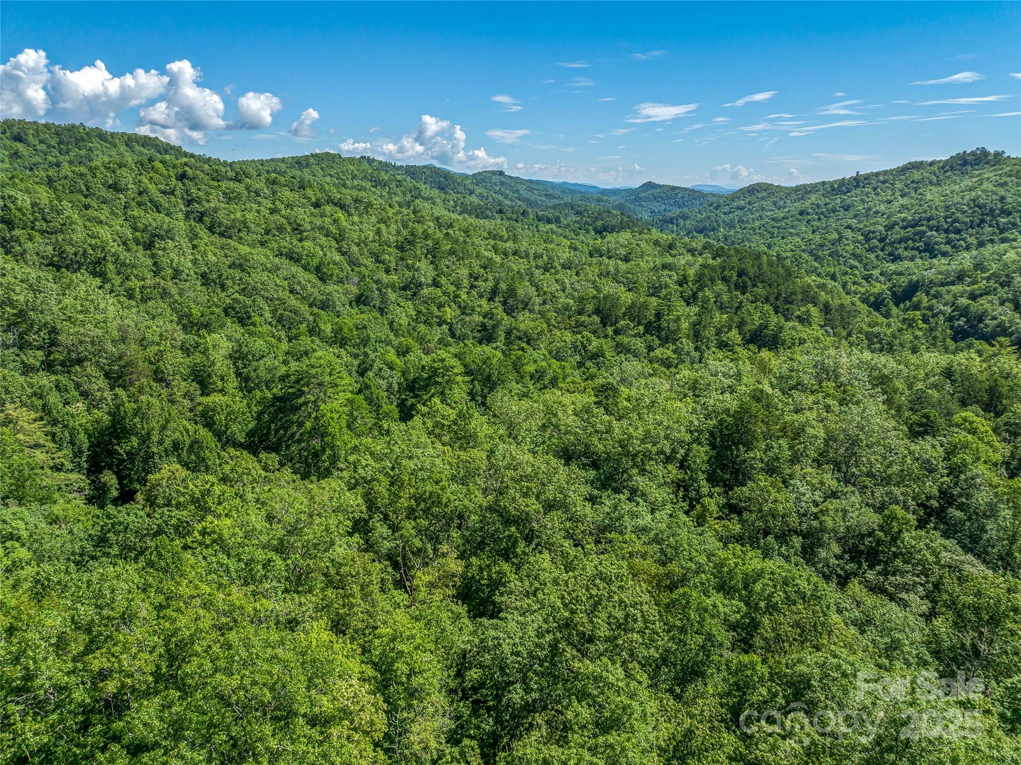 0 Frozen Creek Road Property Photo 21