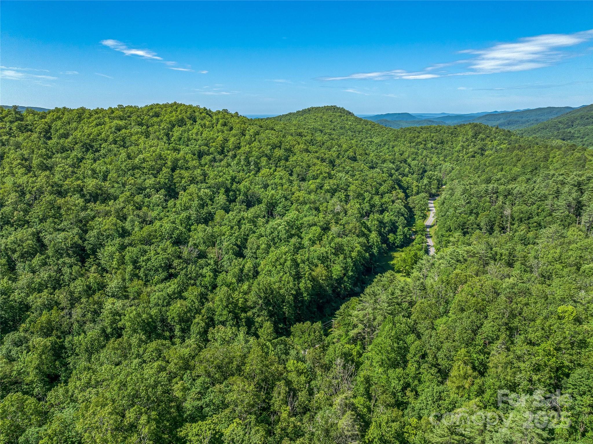 0 Frozen Creek Road Property Photo 25