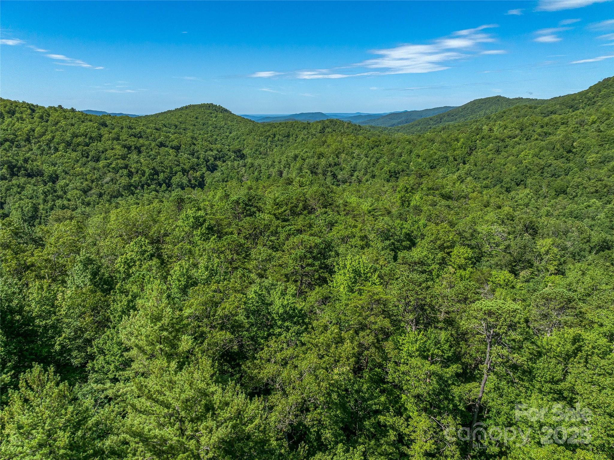 0 Frozen Creek Road Property Photo 27
