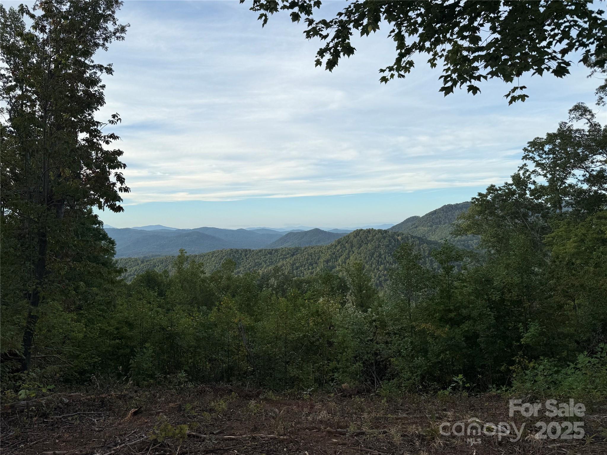 0 Shoal Ridge 1-5 Property Photo 10