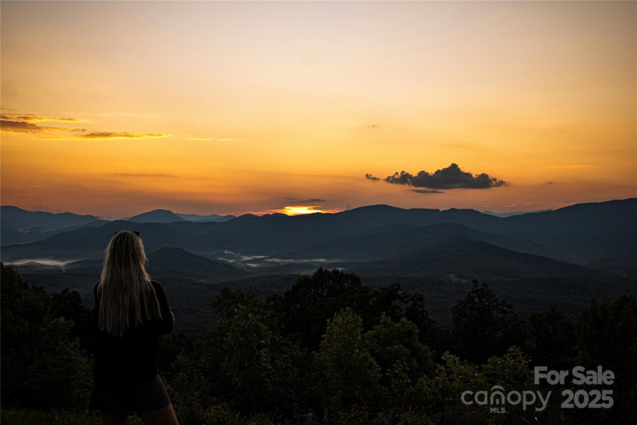 0 Shoal Ridge 1-5 Property Photo 15