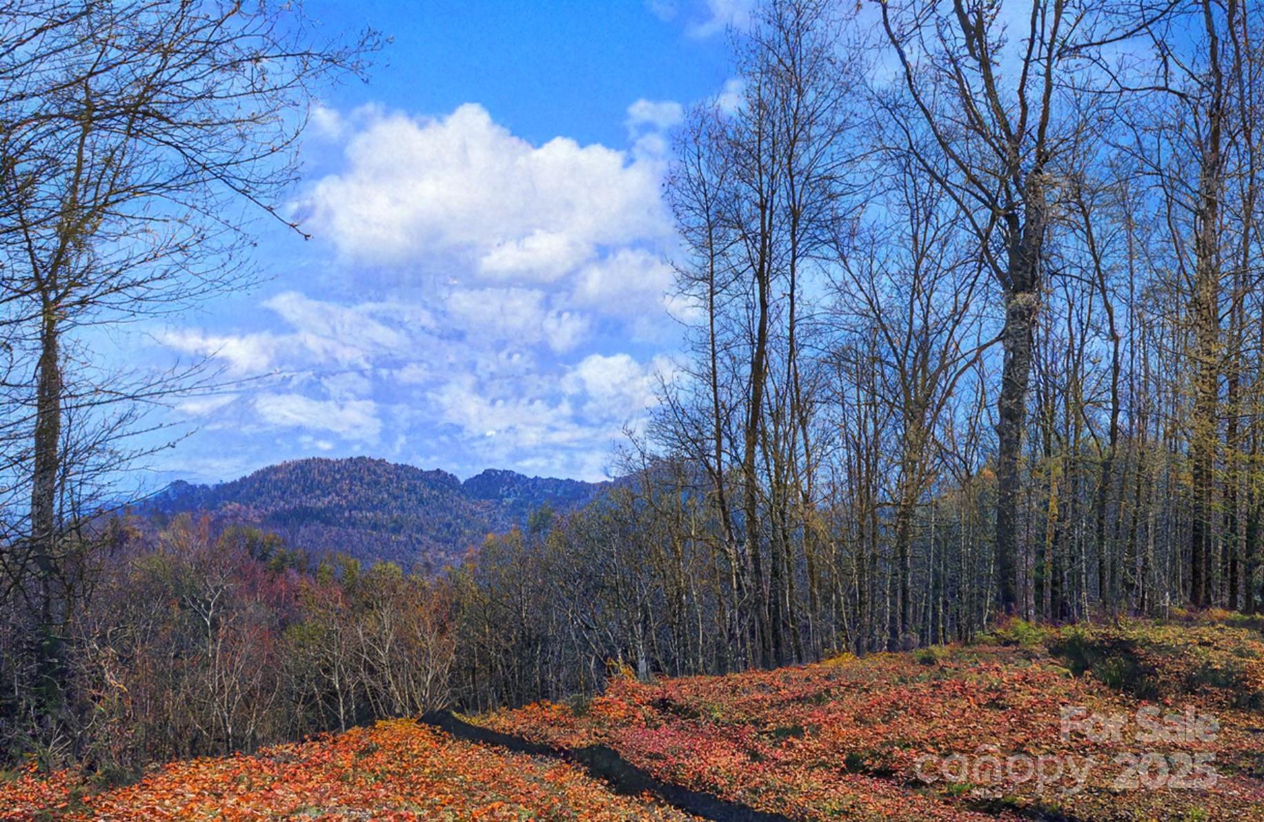 0 Shoal Ridge 1-5 Property Photo 42