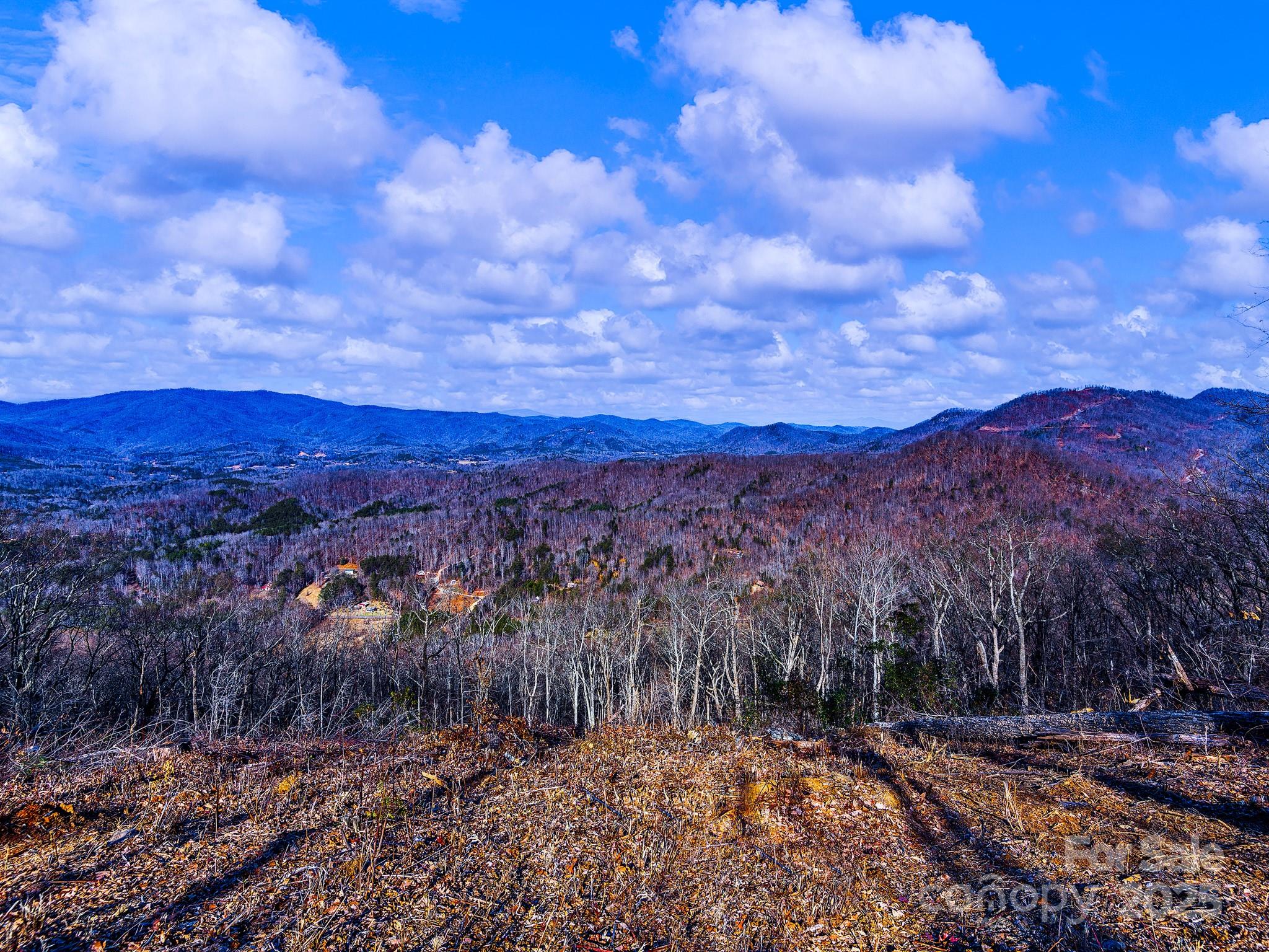 0 Shoal Ridge 1-5 Property Photo 43