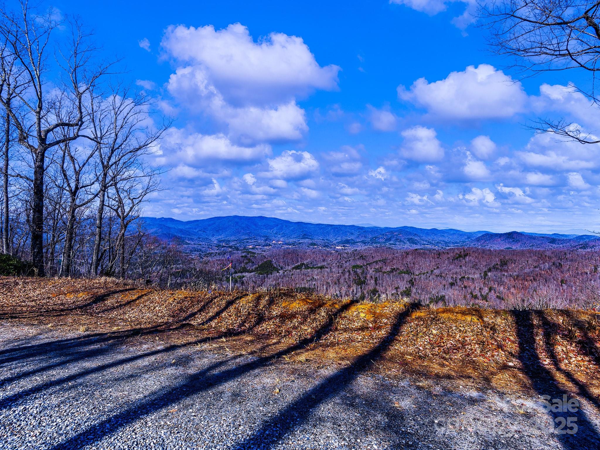 0 Shoal Ridge 1-5 Property Photo 44