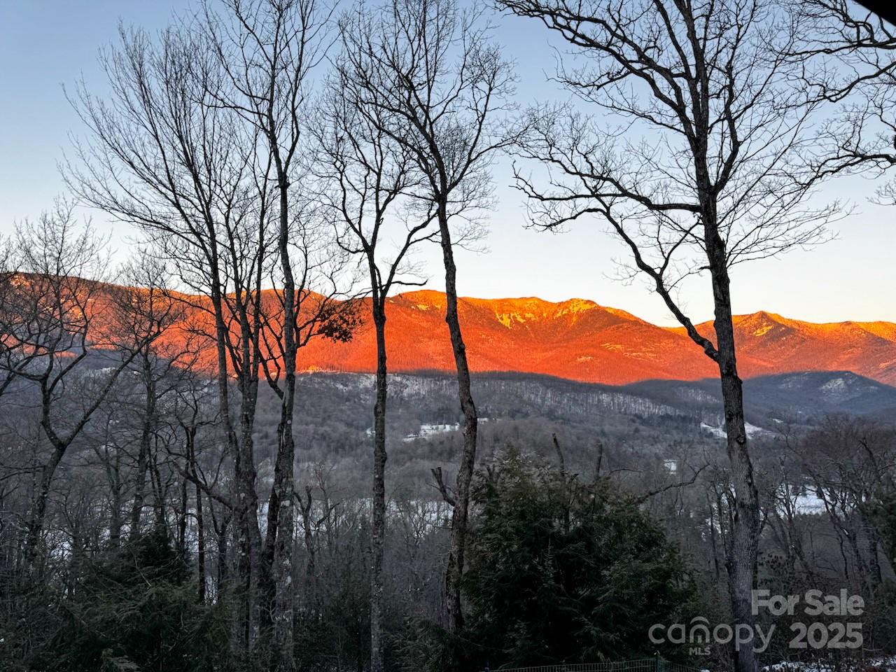 000 Mt. Mitchell Drive Property Photo 2
