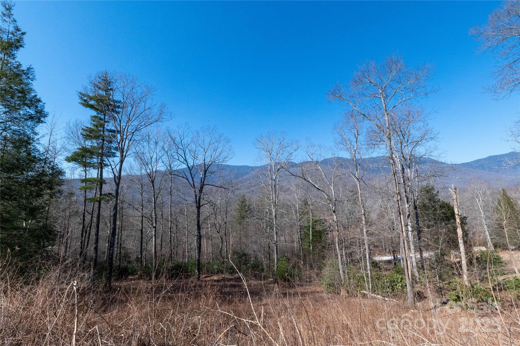 000 Mt. Mitchell Drive Property Photo 3