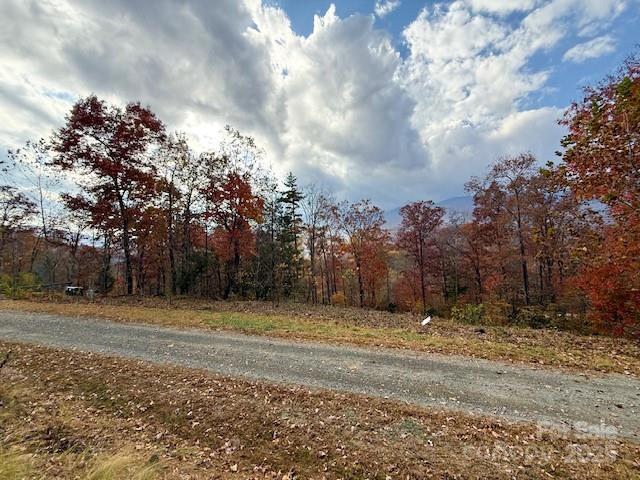 000 Mt. Mitchell Drive Property Photo 4