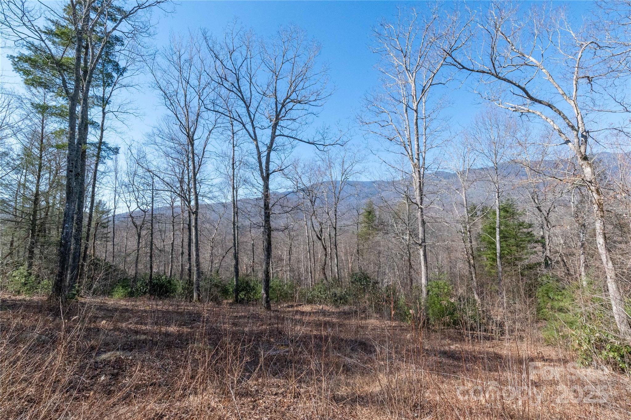 000 Mt. Mitchell Drive Property Photo 6