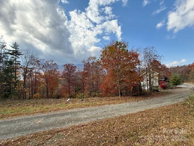 000 Mt. Mitchell Drive Property Photo 8