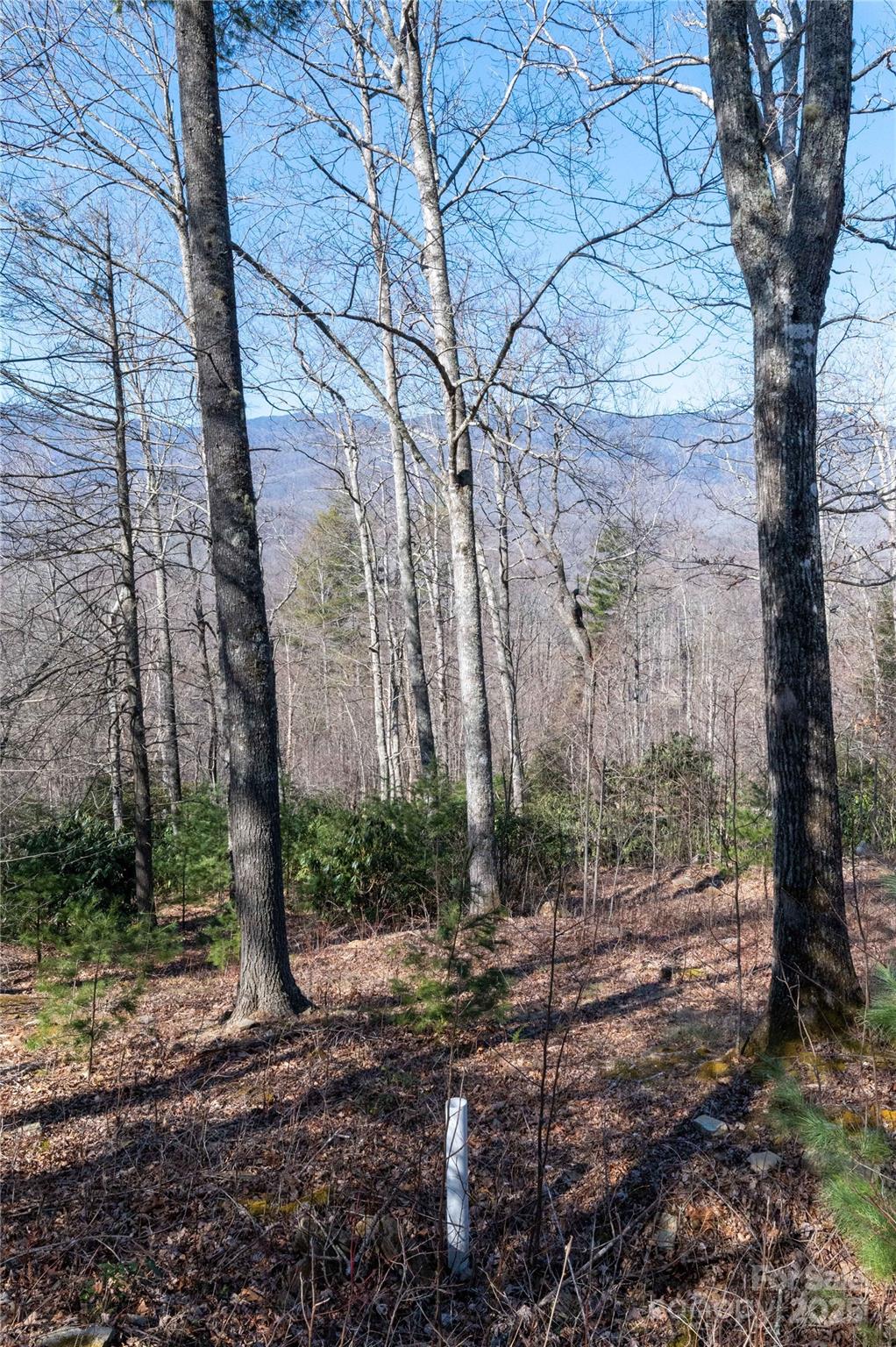 000 Mt. Mitchell Drive Property Photo 9