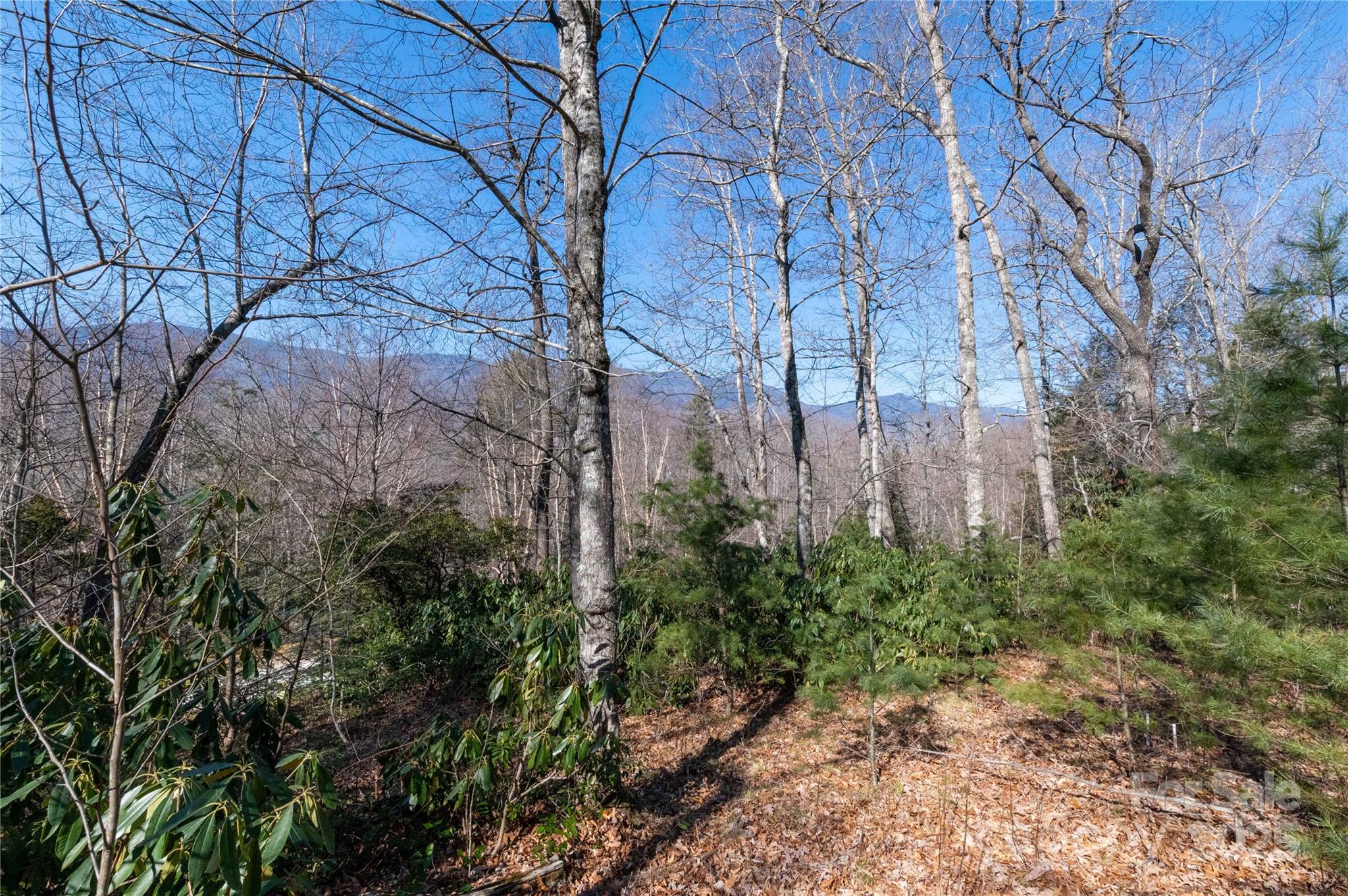 000 Mt. Mitchell Drive Property Photo 10