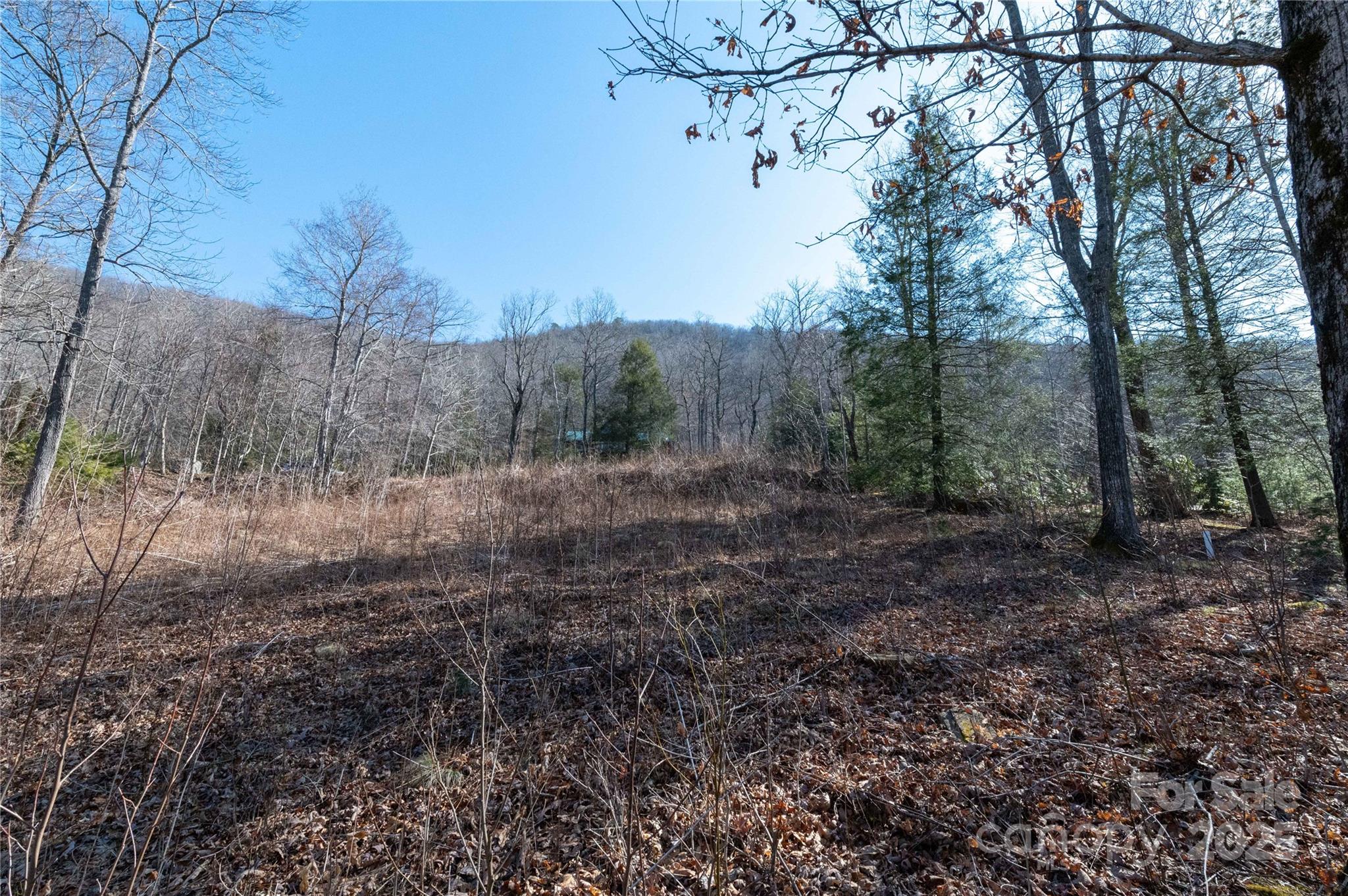 000 Mt. Mitchell Drive Property Photo 11
