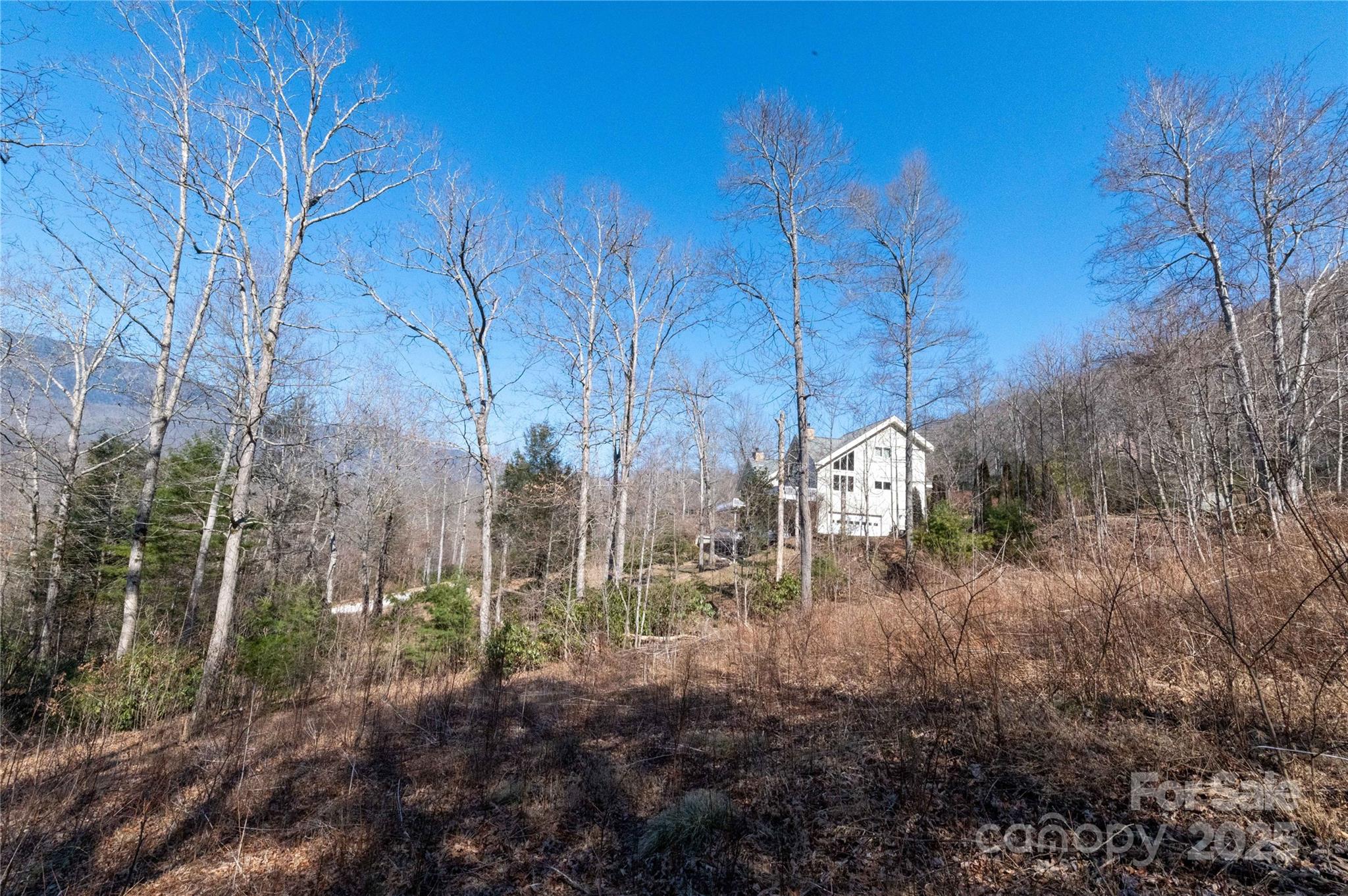 000 Mt. Mitchell Drive Property Photo 12