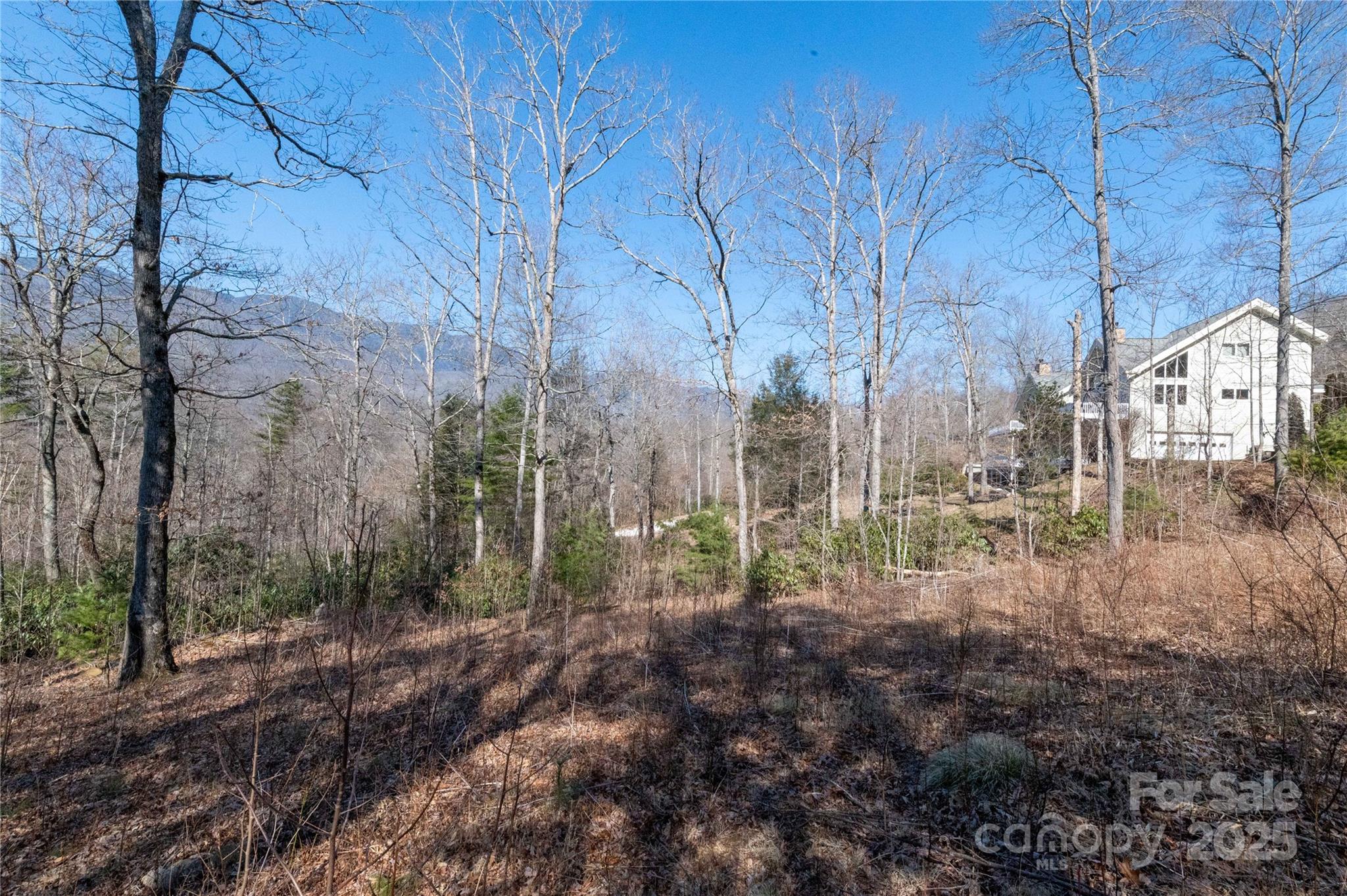 000 Mt. Mitchell Drive Property Photo 13