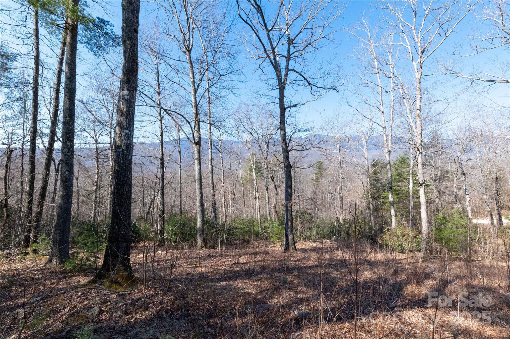 000 Mt. Mitchell Drive Property Photo 14