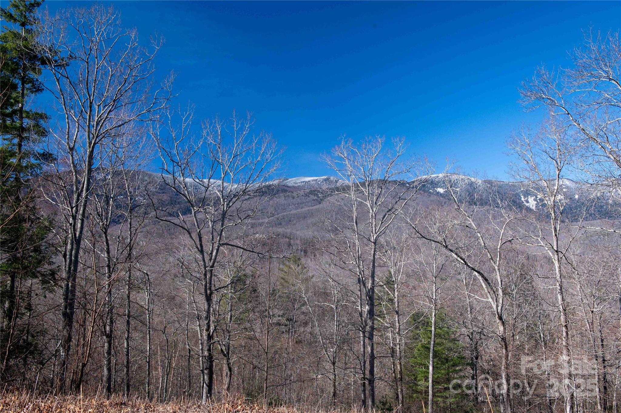 000 Mt. Mitchell Drive Property Photo 15