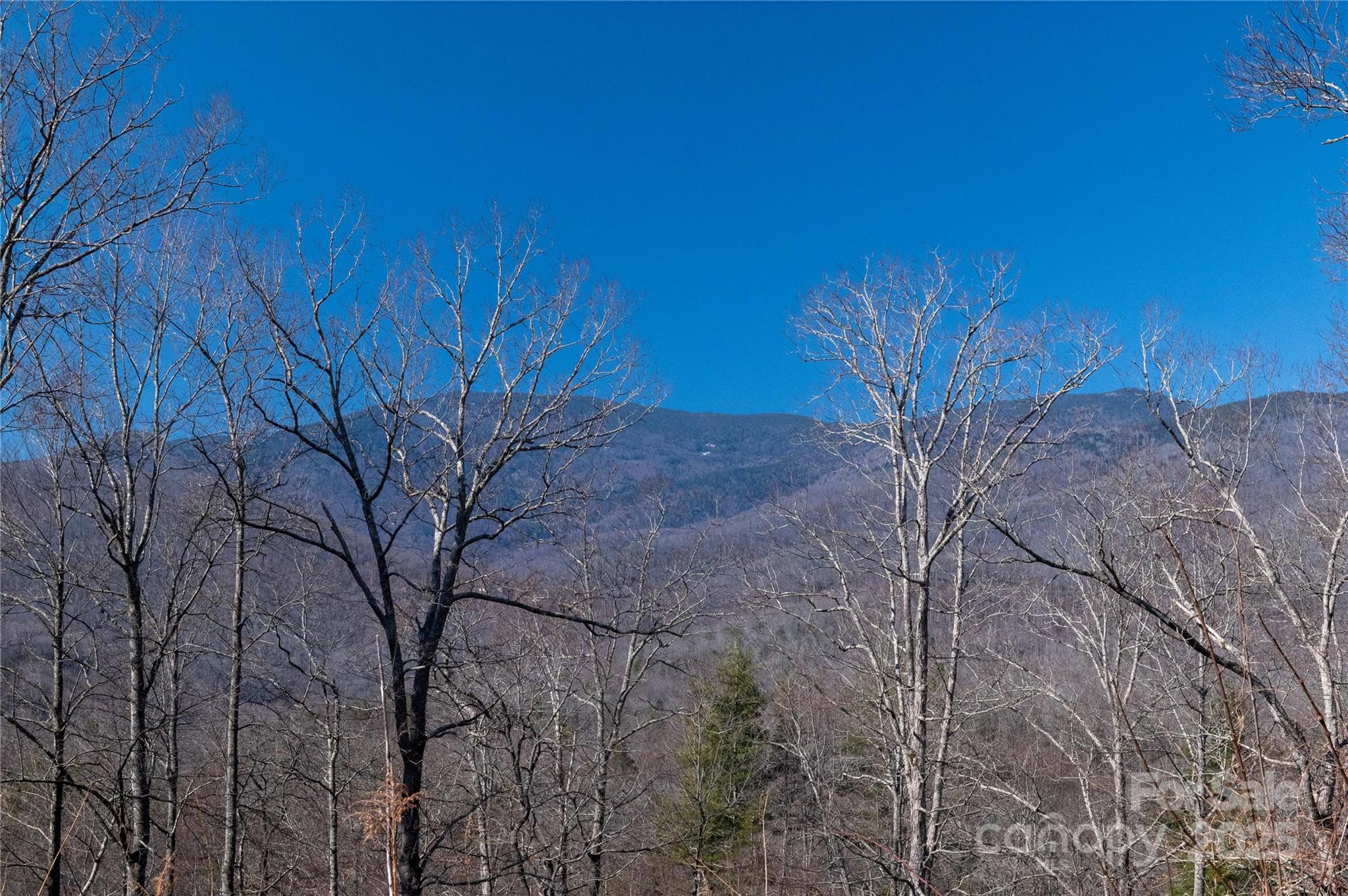 000 Mt. Mitchell Drive Property Photo 16