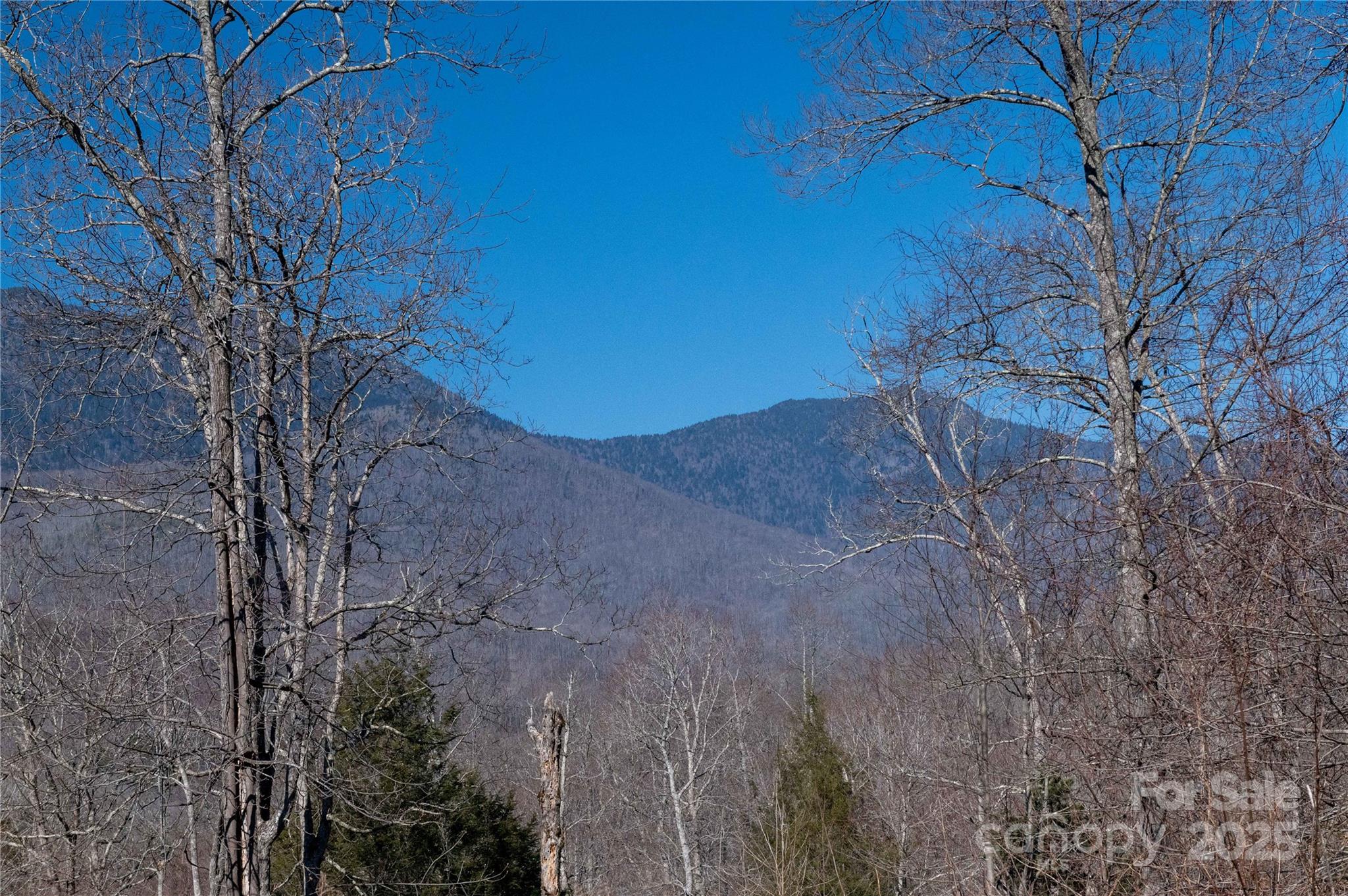 000 Mt. Mitchell Drive Property Photo 18
