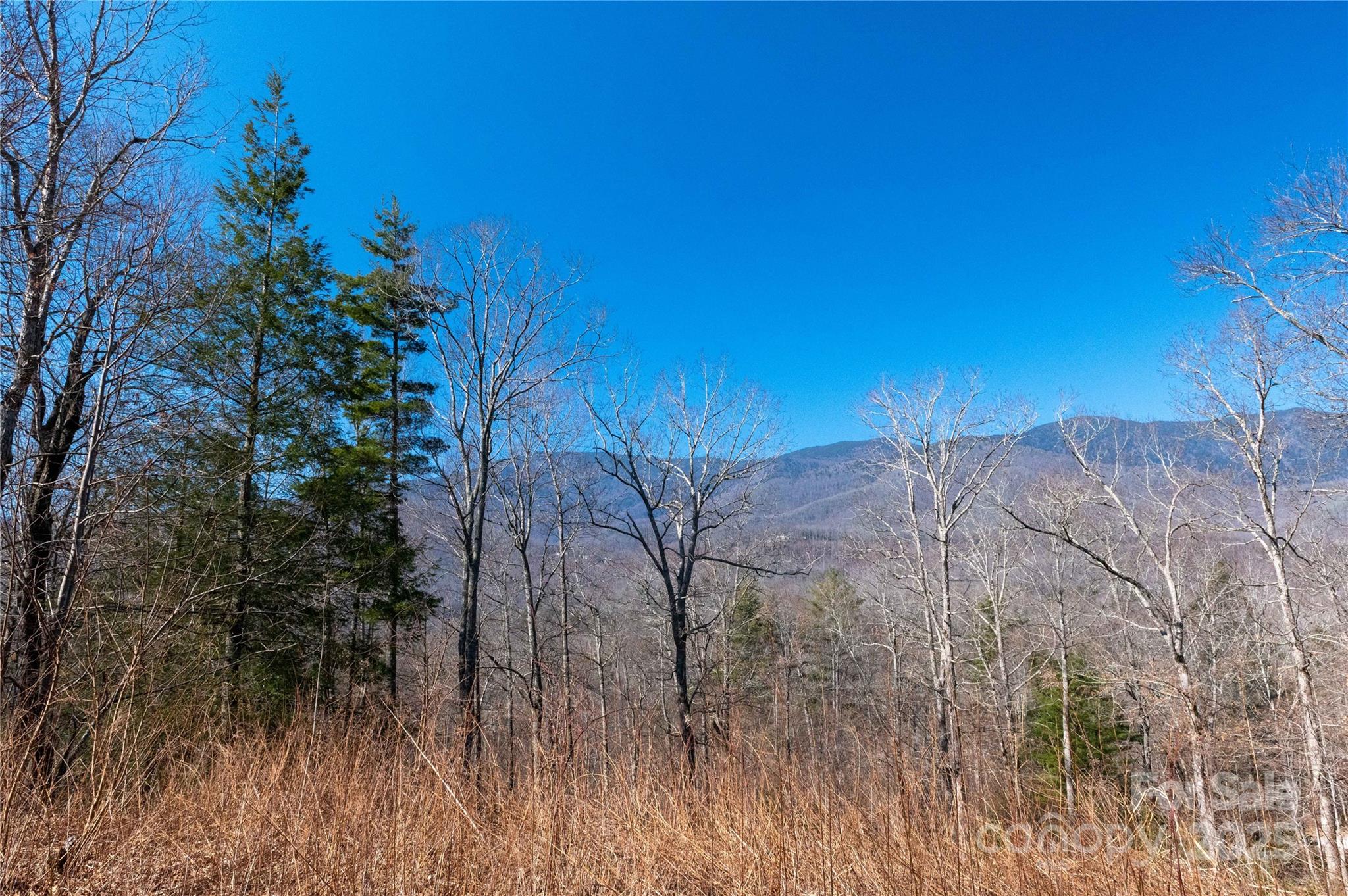 000 Mt. Mitchell Drive Property Photo 20