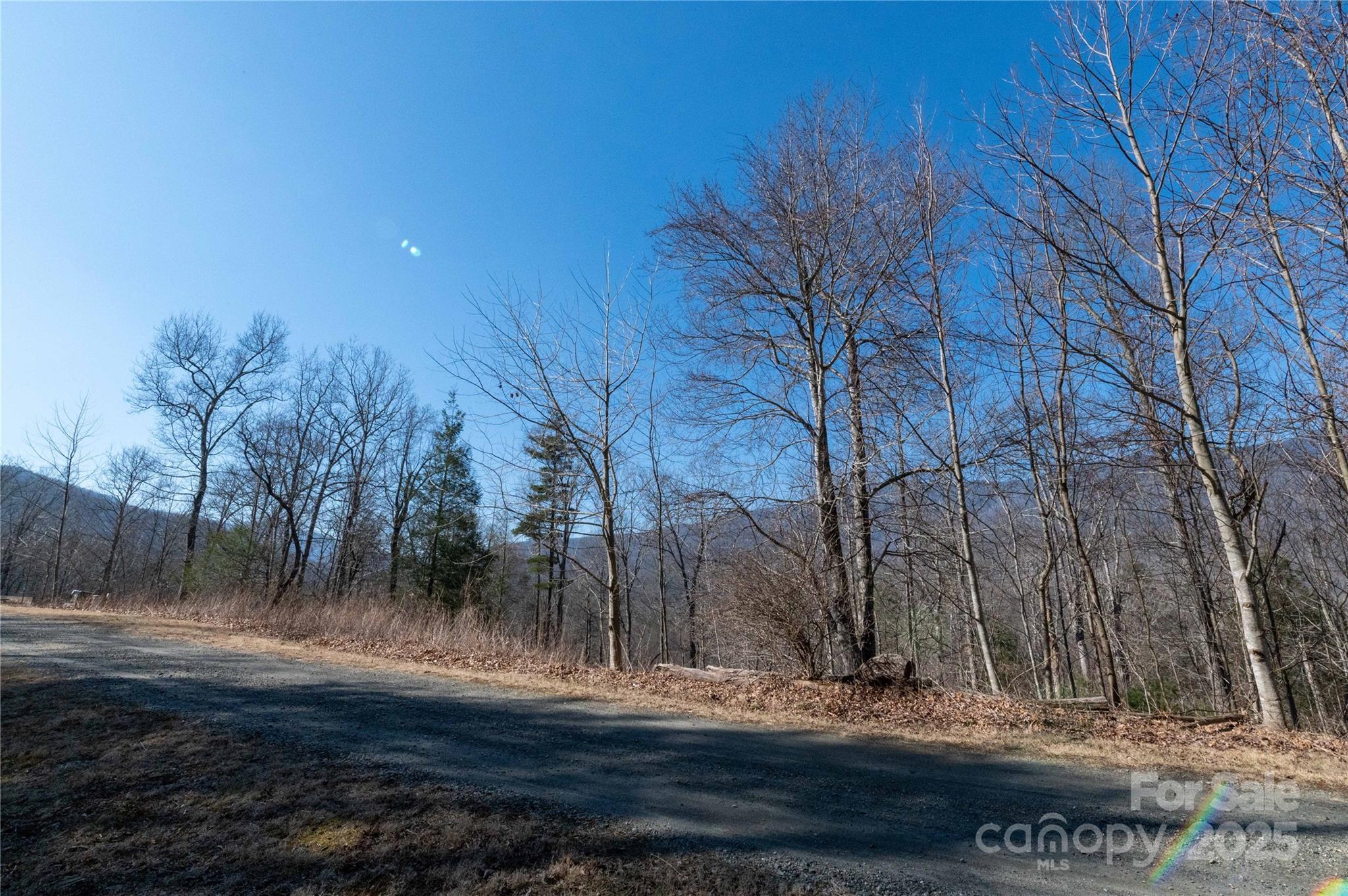 000 Mt. Mitchell Drive Property Photo 21