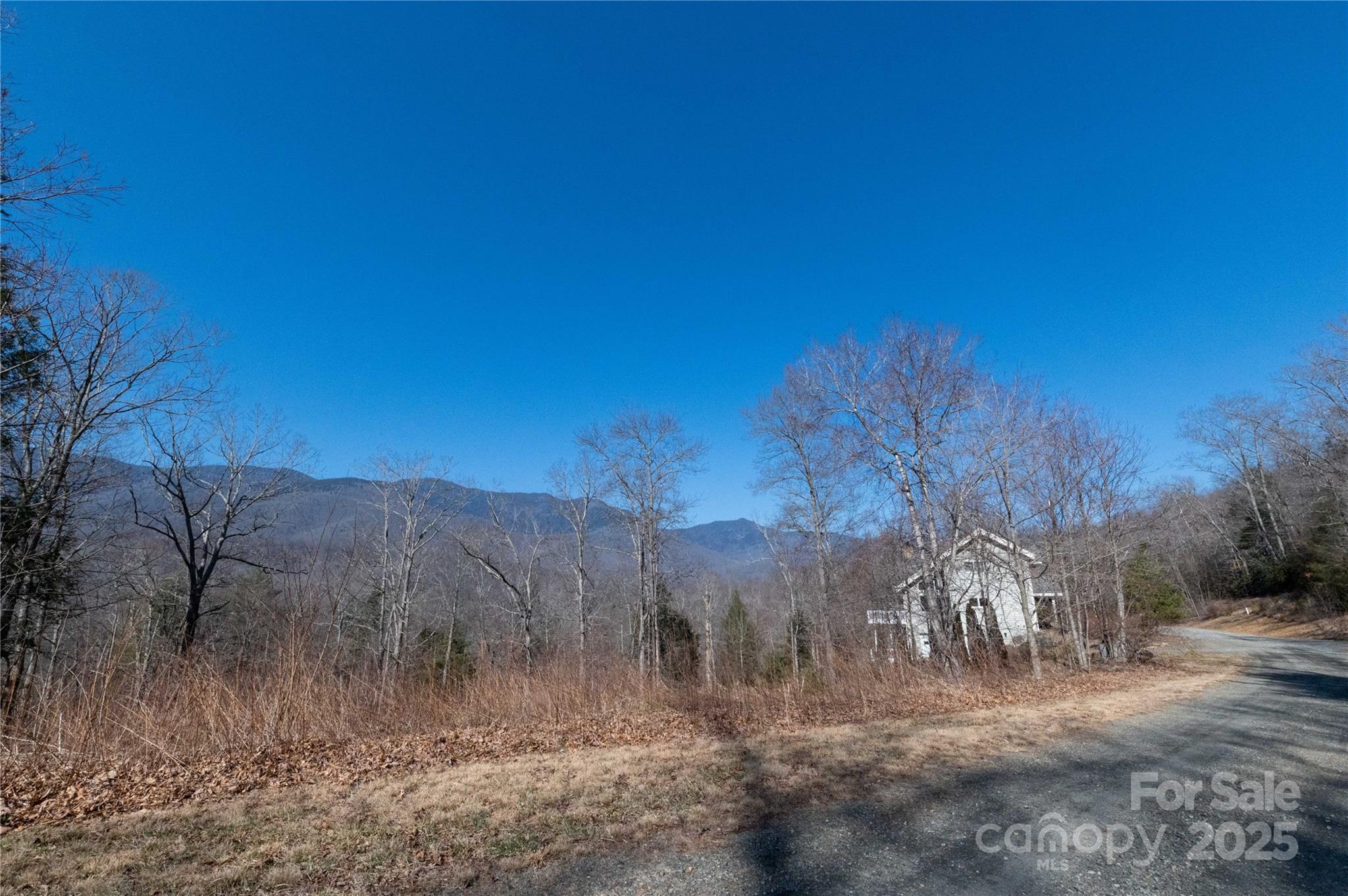000 Mt. Mitchell Drive Property Photo 22