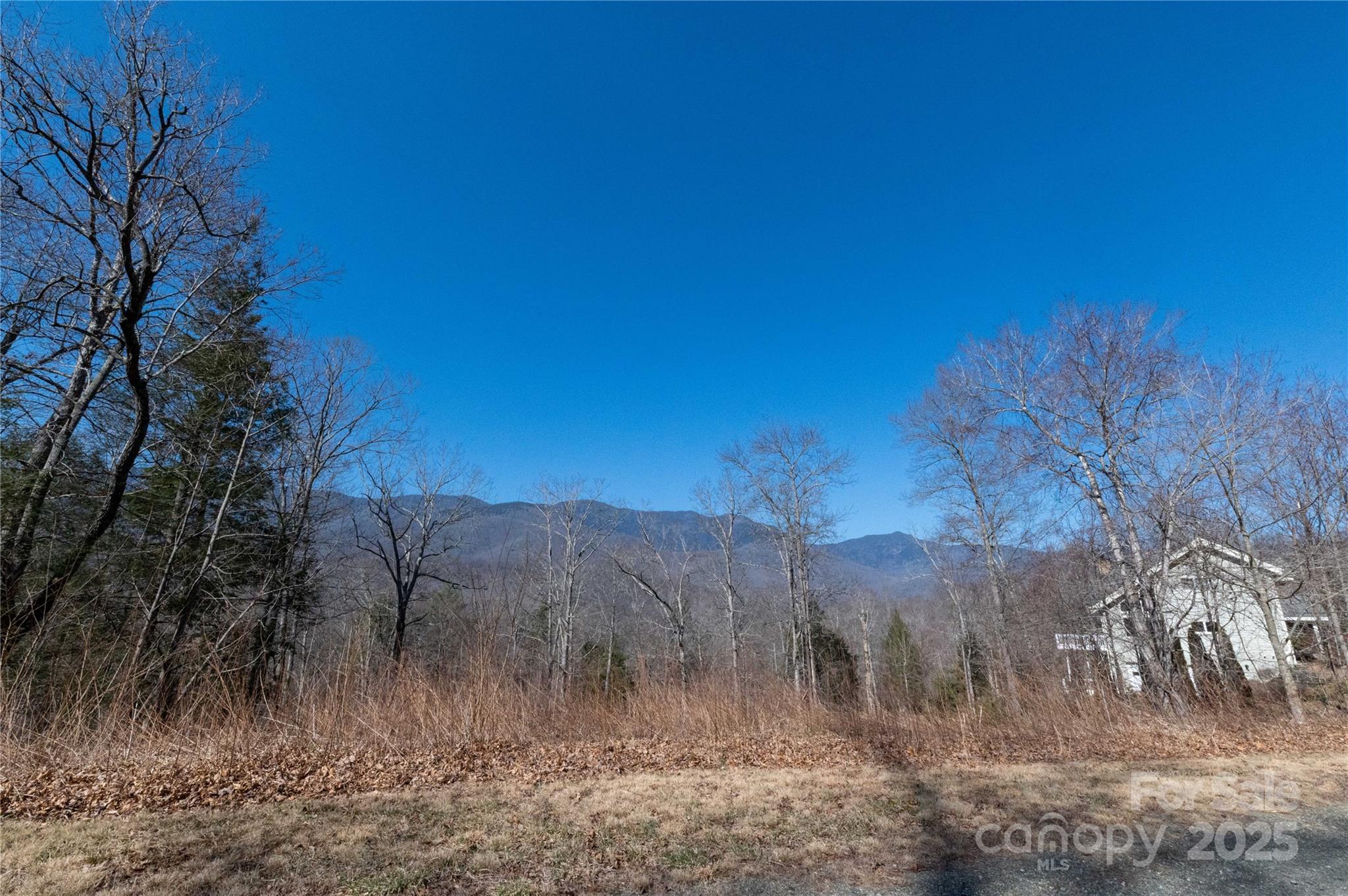 000 Mt. Mitchell Drive Property Photo 23