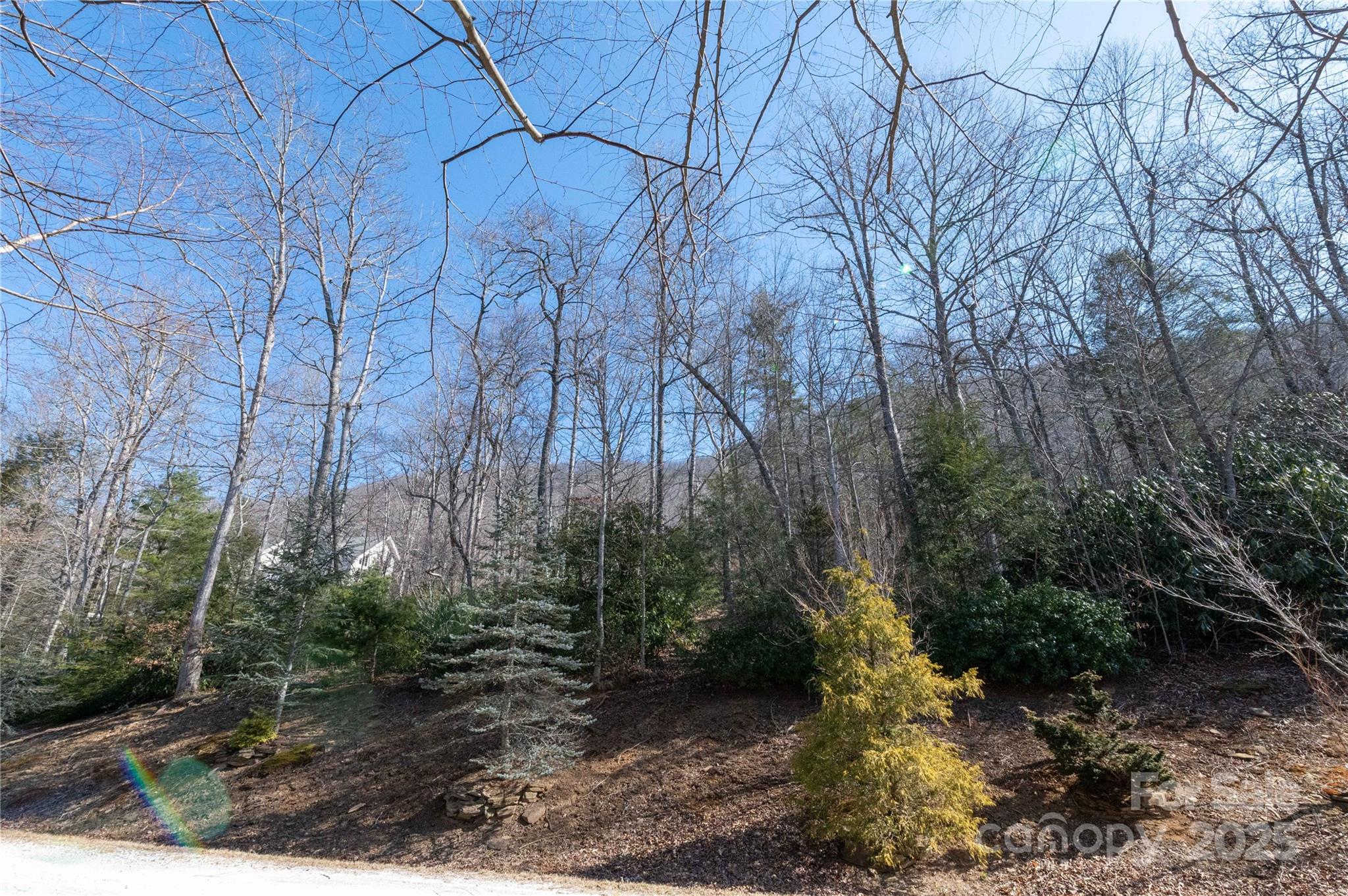000 Mt. Mitchell Drive Property Photo 24