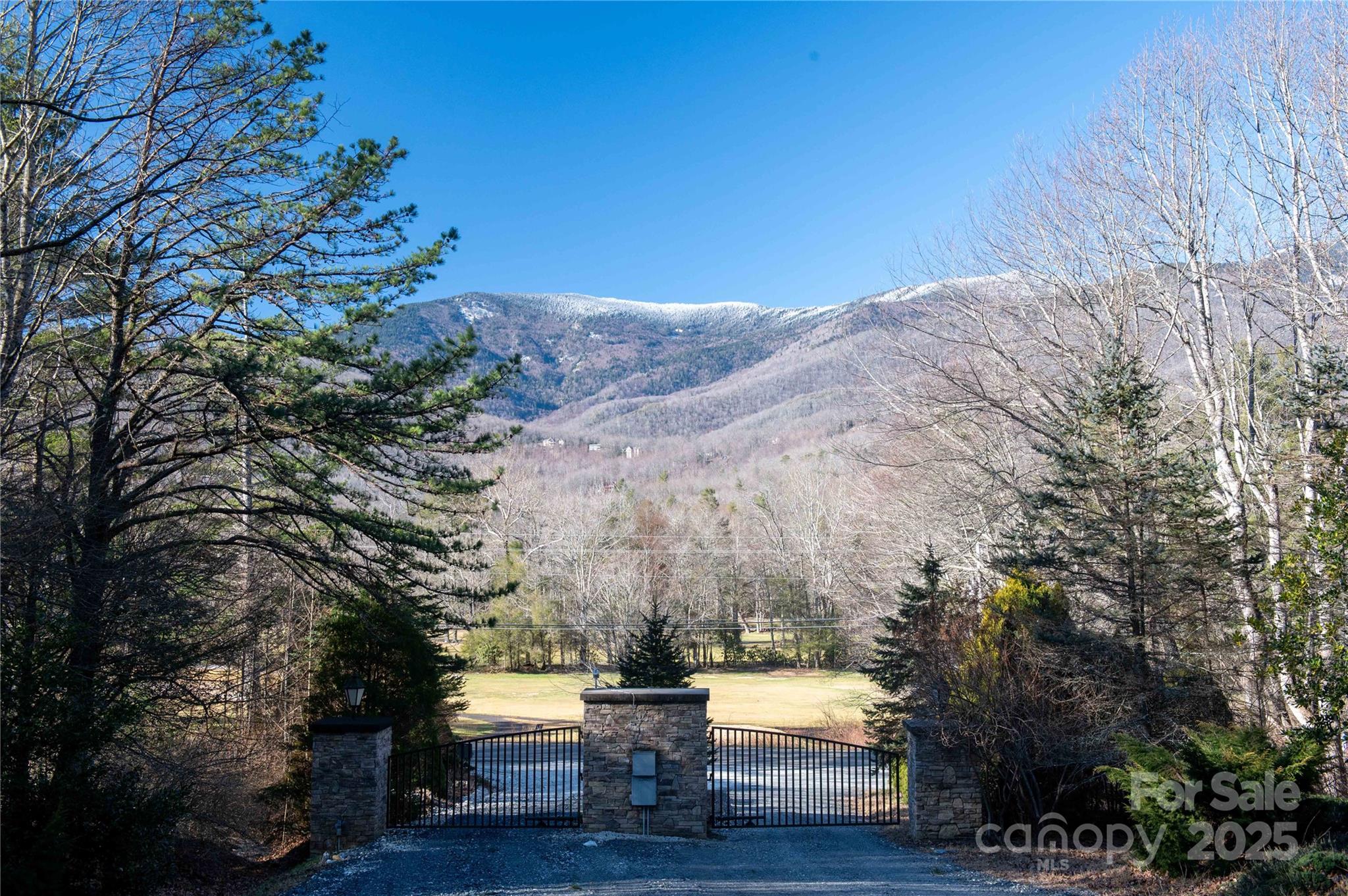 000 Mt. Mitchell Drive Property Photo 25