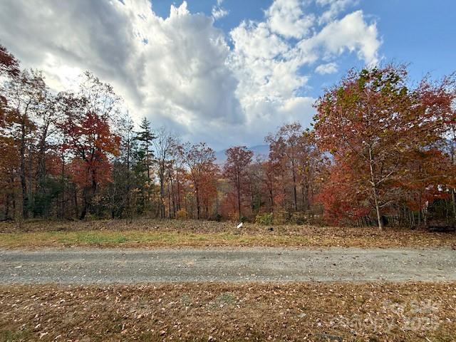 000 Mt. Mitchell Drive Property Photo 26