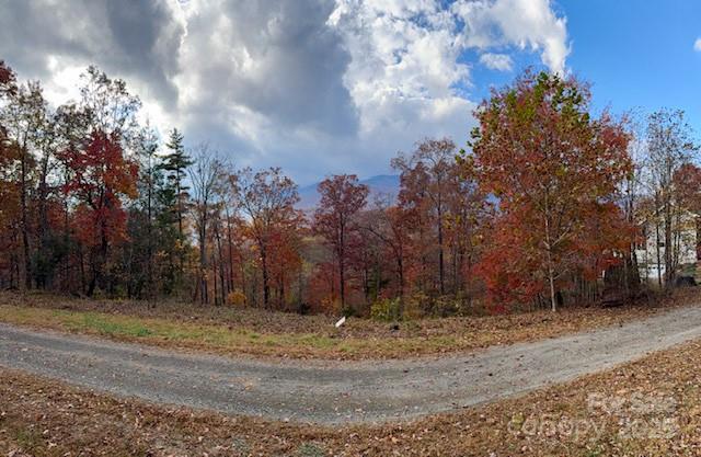 000 Mt. Mitchell Drive Property Photo 27